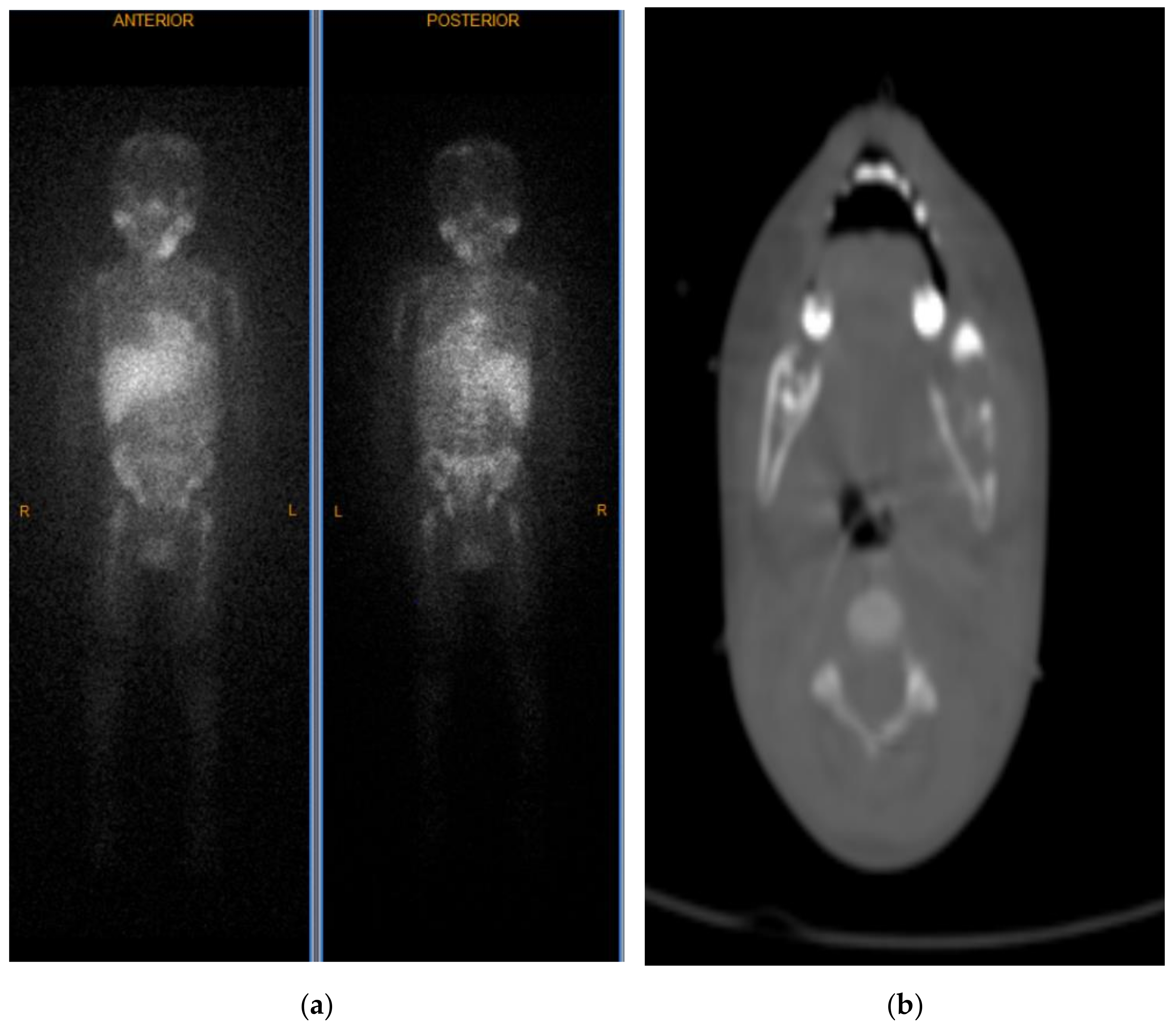 Ijerph 18 04157 g004 Ijerph 18 04157 g004
