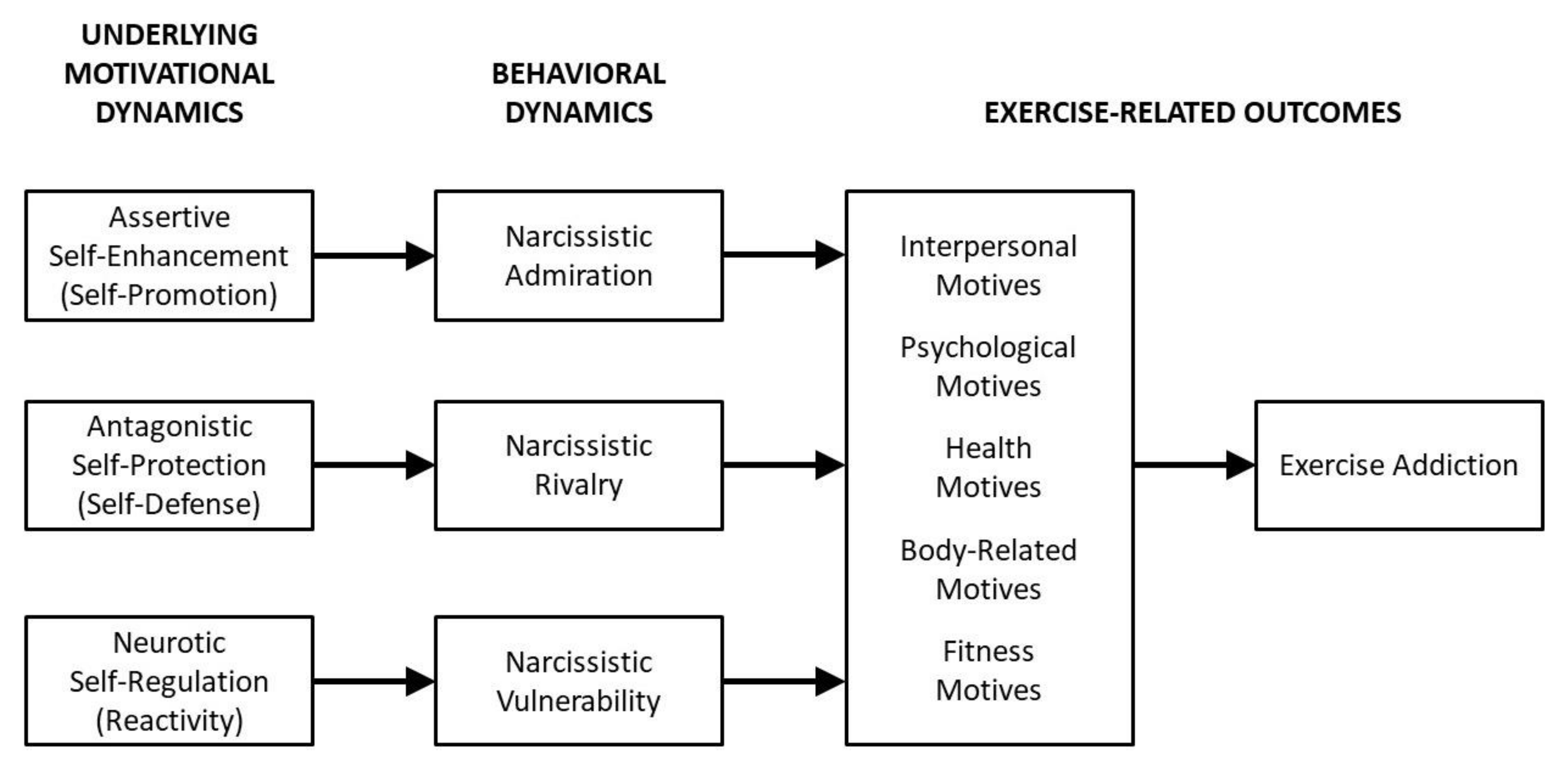 IJERPH | Free Full-Text | Narcissism and Exercise Addiction: The ...