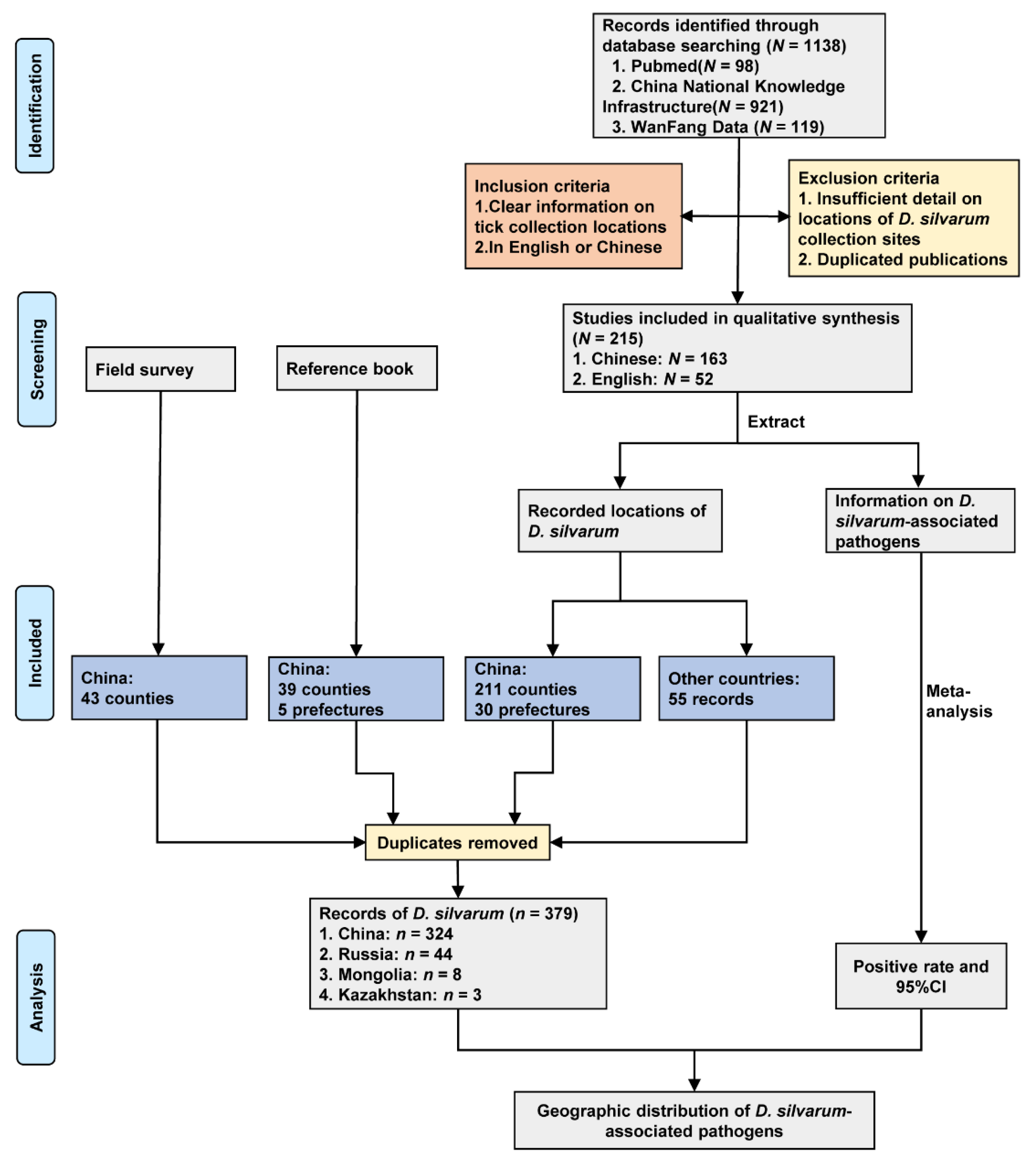 CTN Diagnosticos