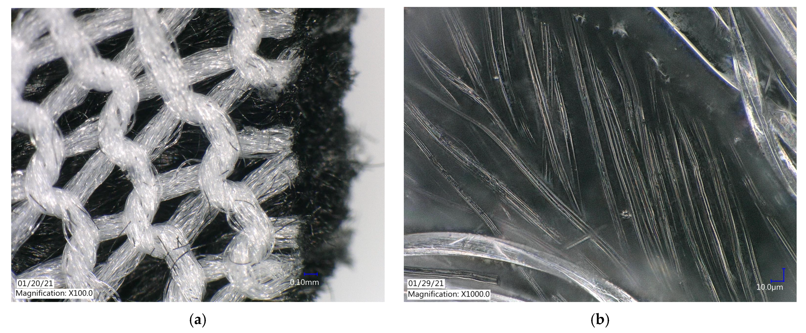 Ijerph 18 04833 g002