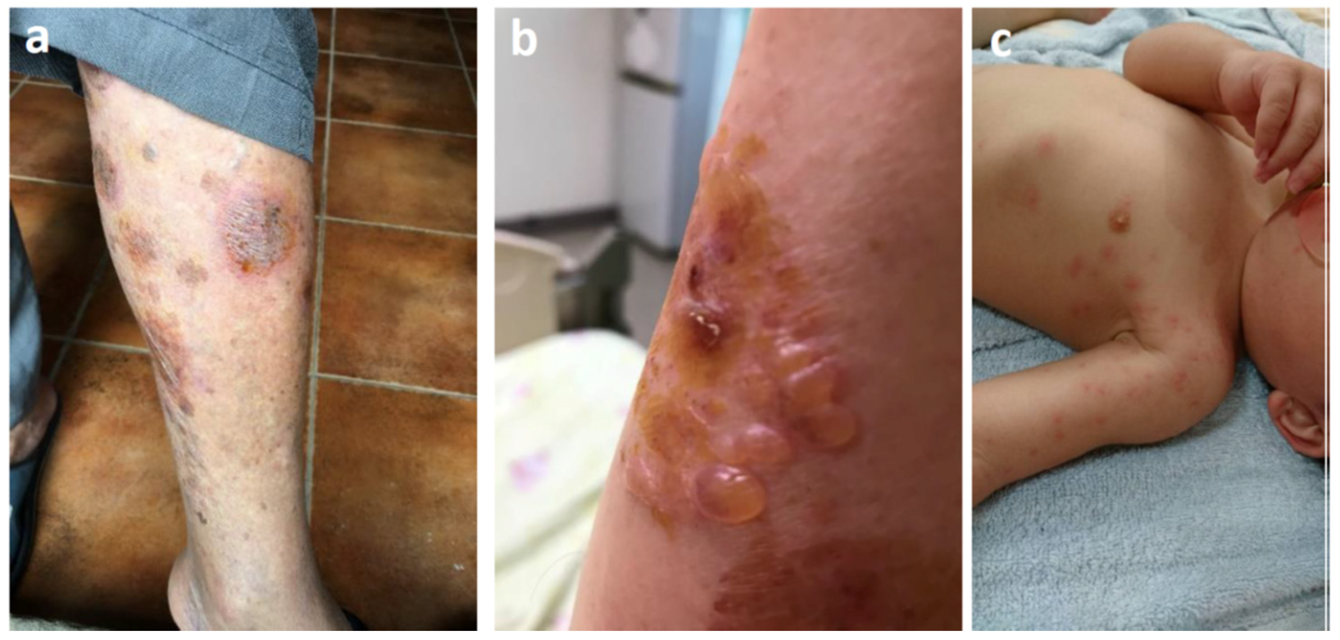 Ijerph 18 05055 g002 Ijerph 18 05055 g002