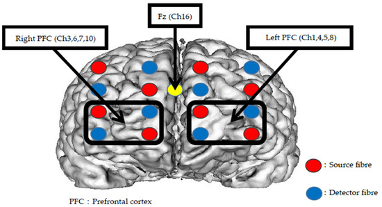 Ijerph Free Full Text Sex Differences In The Oxygenation Of The Left And Right Prefrontal 0408