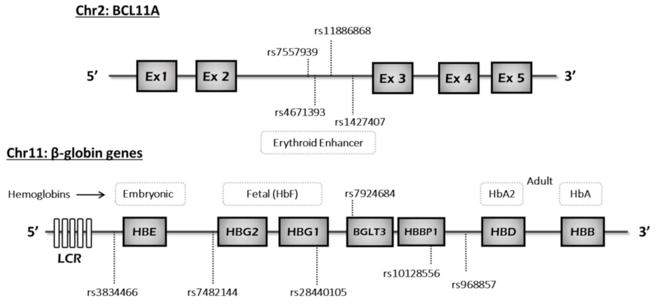 Ijerph 18 05417 g001