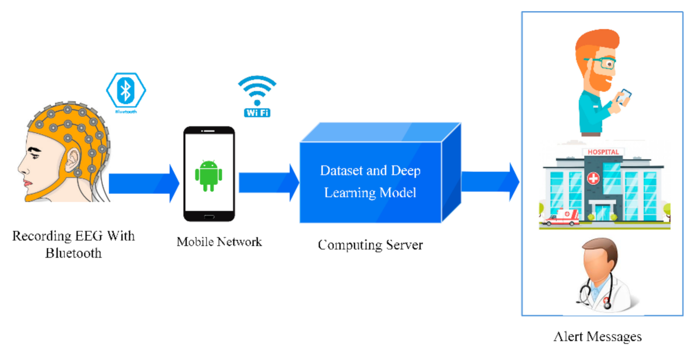 Seizure Detection and Devices