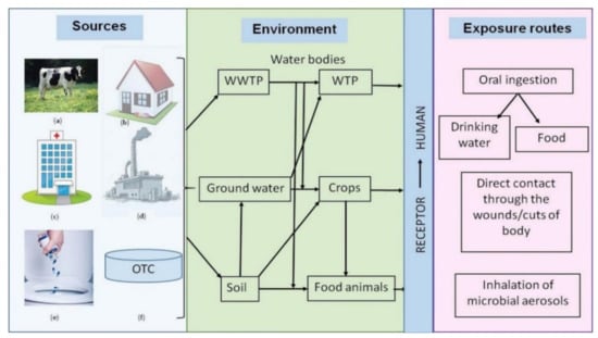 IJERPH | Free Full-Text | Chemical Contamination Pathways And The Food ...