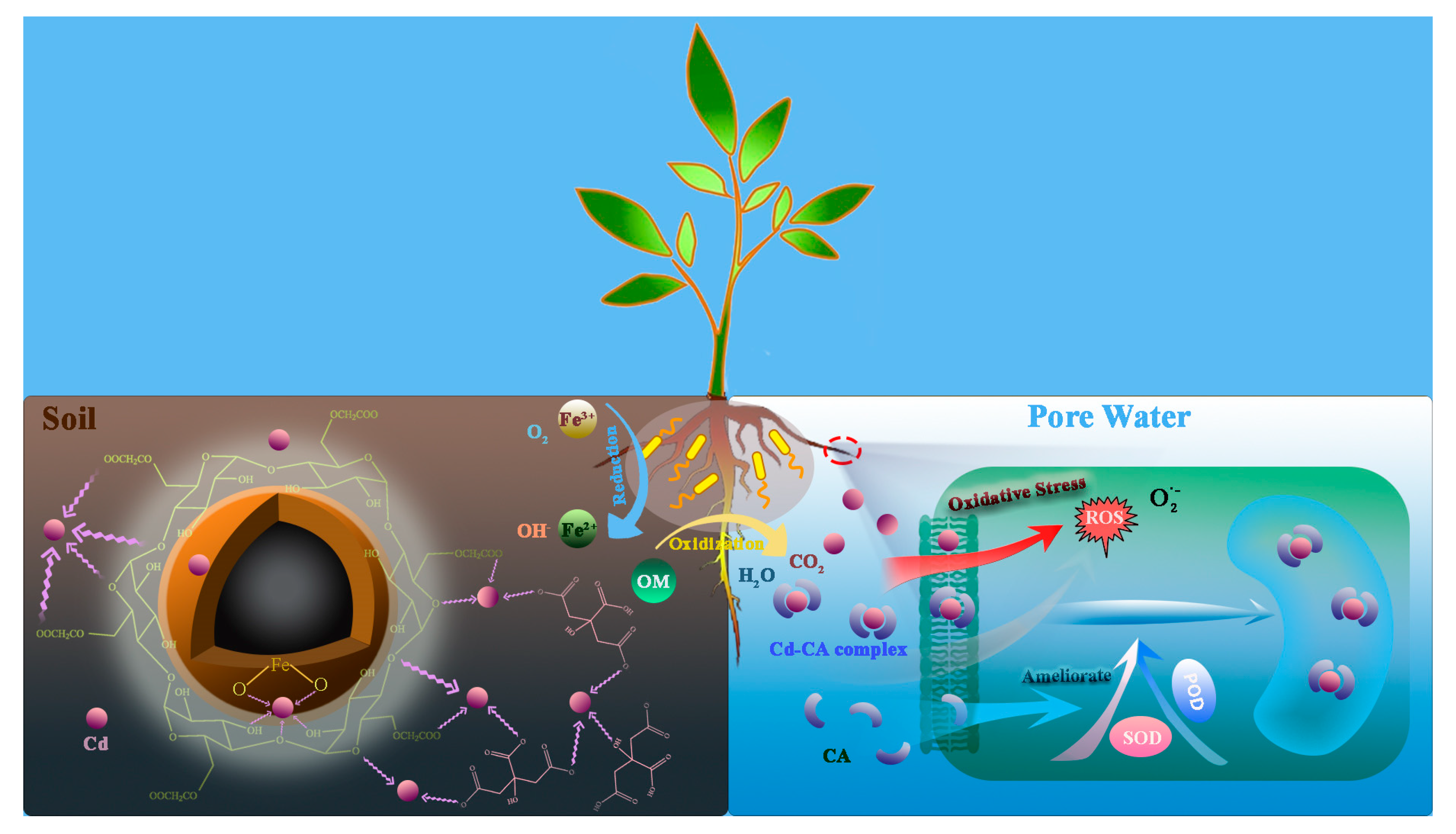 Ijerph 18 05887 g010