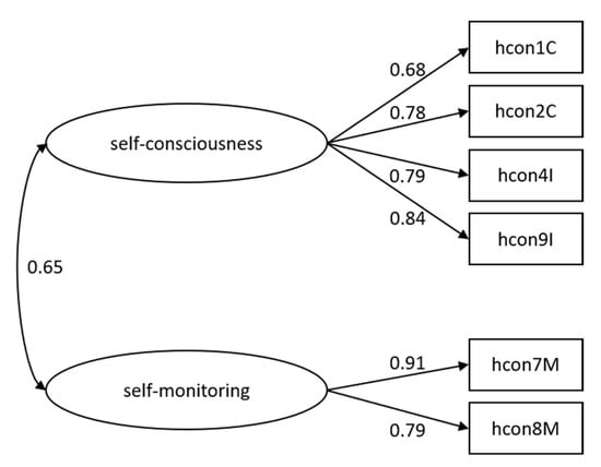 IJERPH | Free Full-Text | Validation and Test of Measurement Invariance of  the Adapted Health Consciousness Scale (HCS-G)