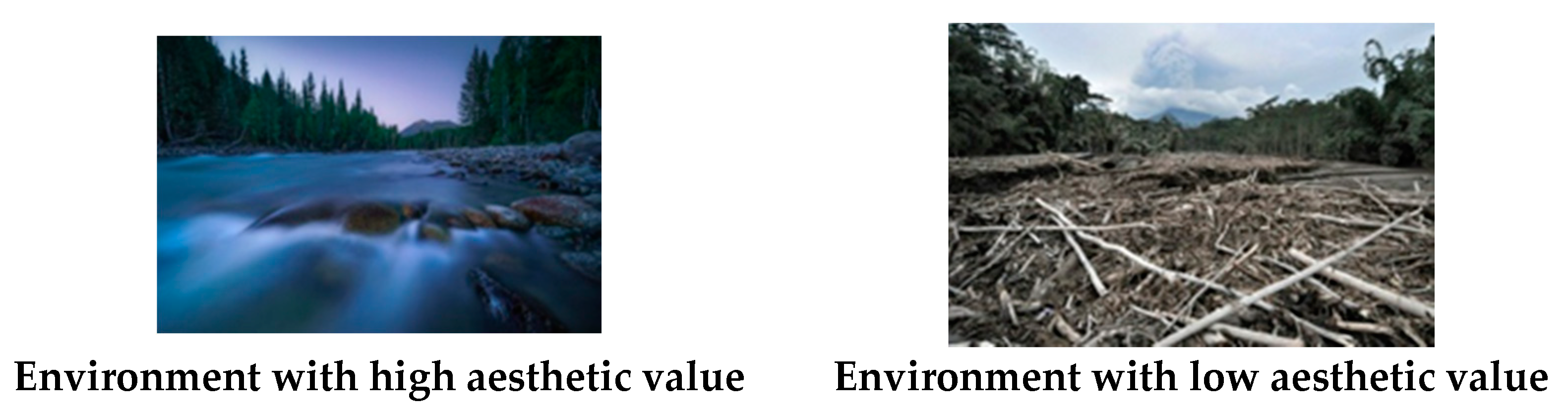 Ijerph 18 06477 g002 Ijerph 18 06477 g002