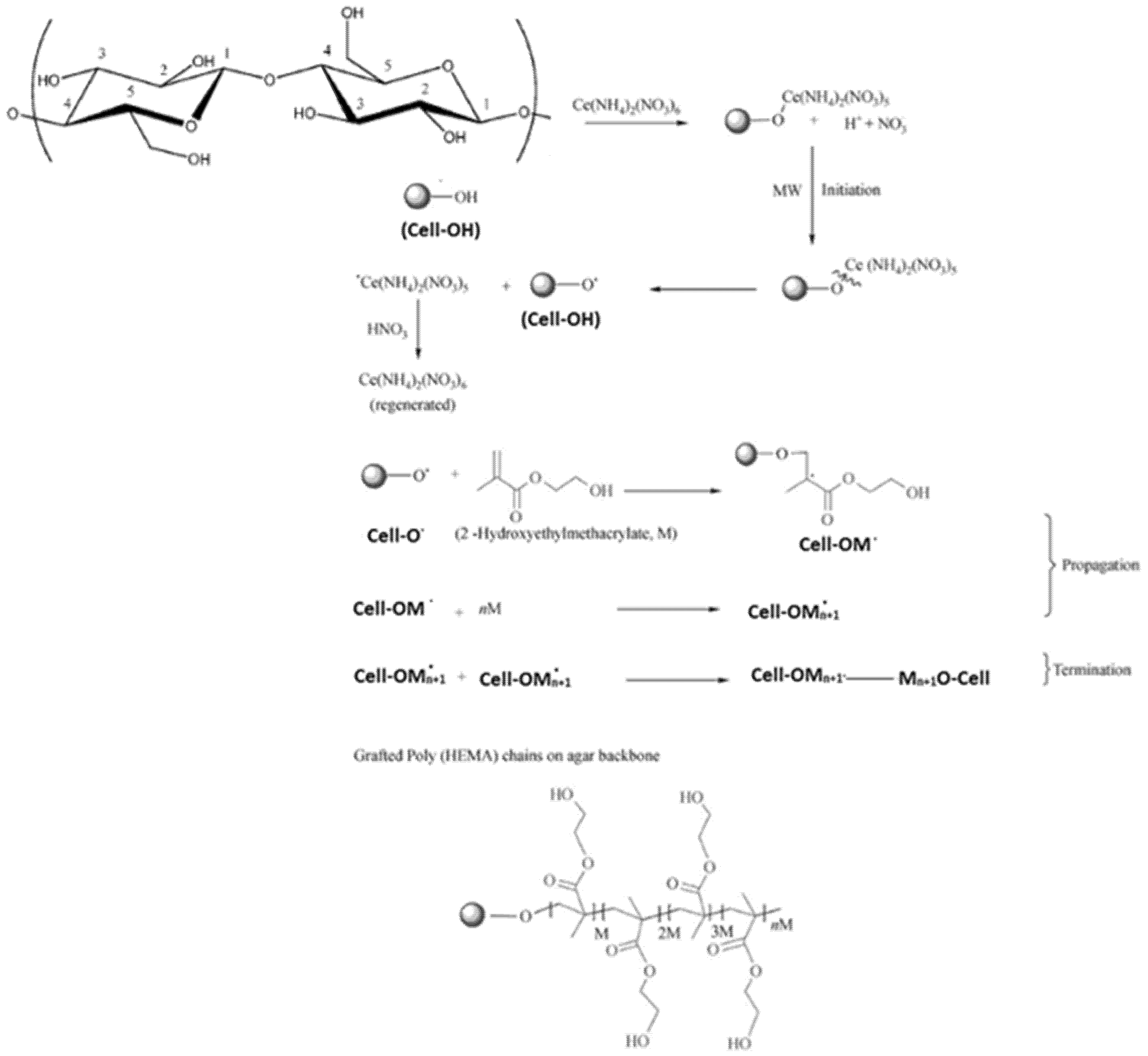Ijerph 18 06581 sch001