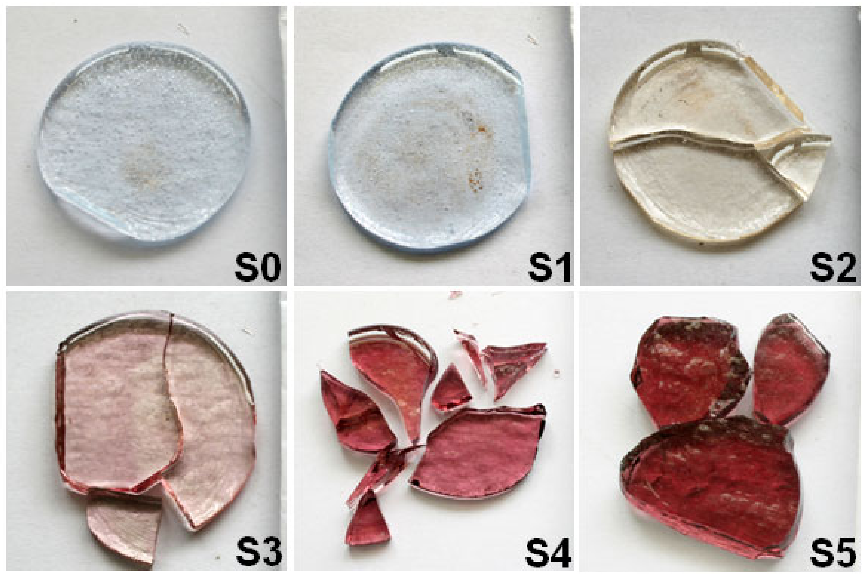 Ijerph 18 06585 g001