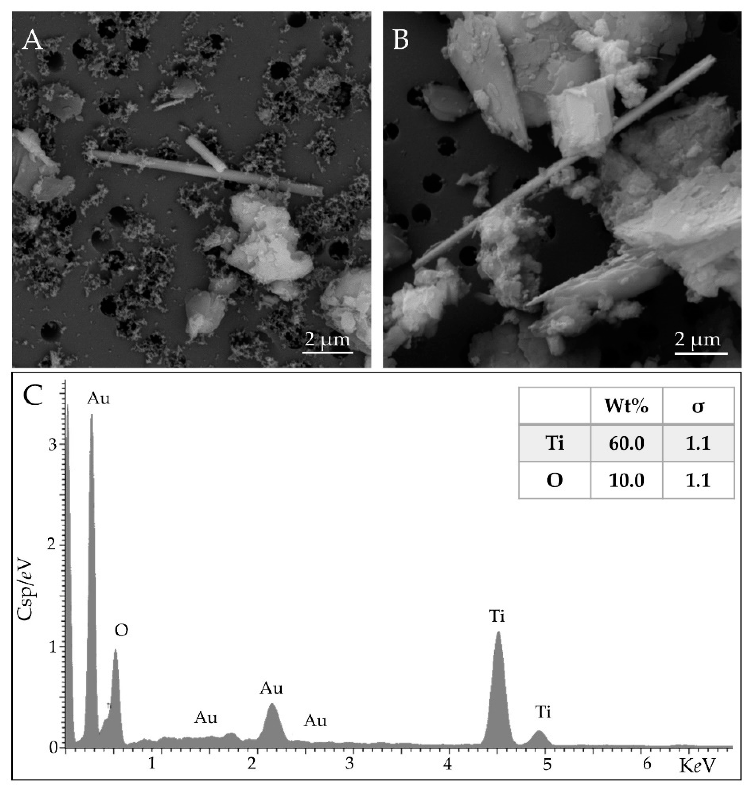 Ijerph 18 06587 g001 Ijerph 18 06587 g001