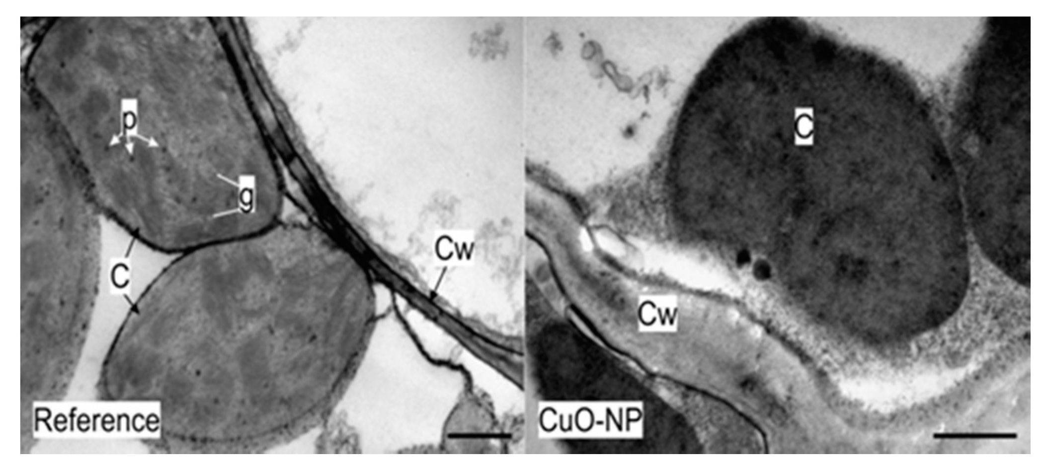 Ijerph 18 06739 g009