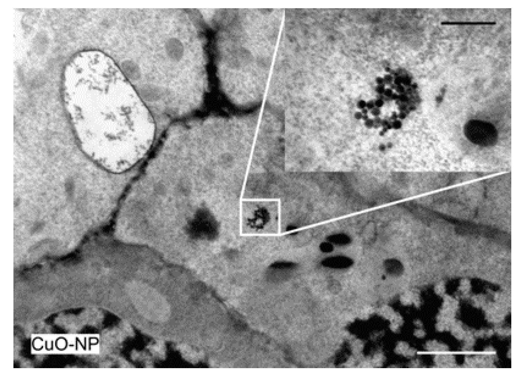 Ijerph 18 06739 g010