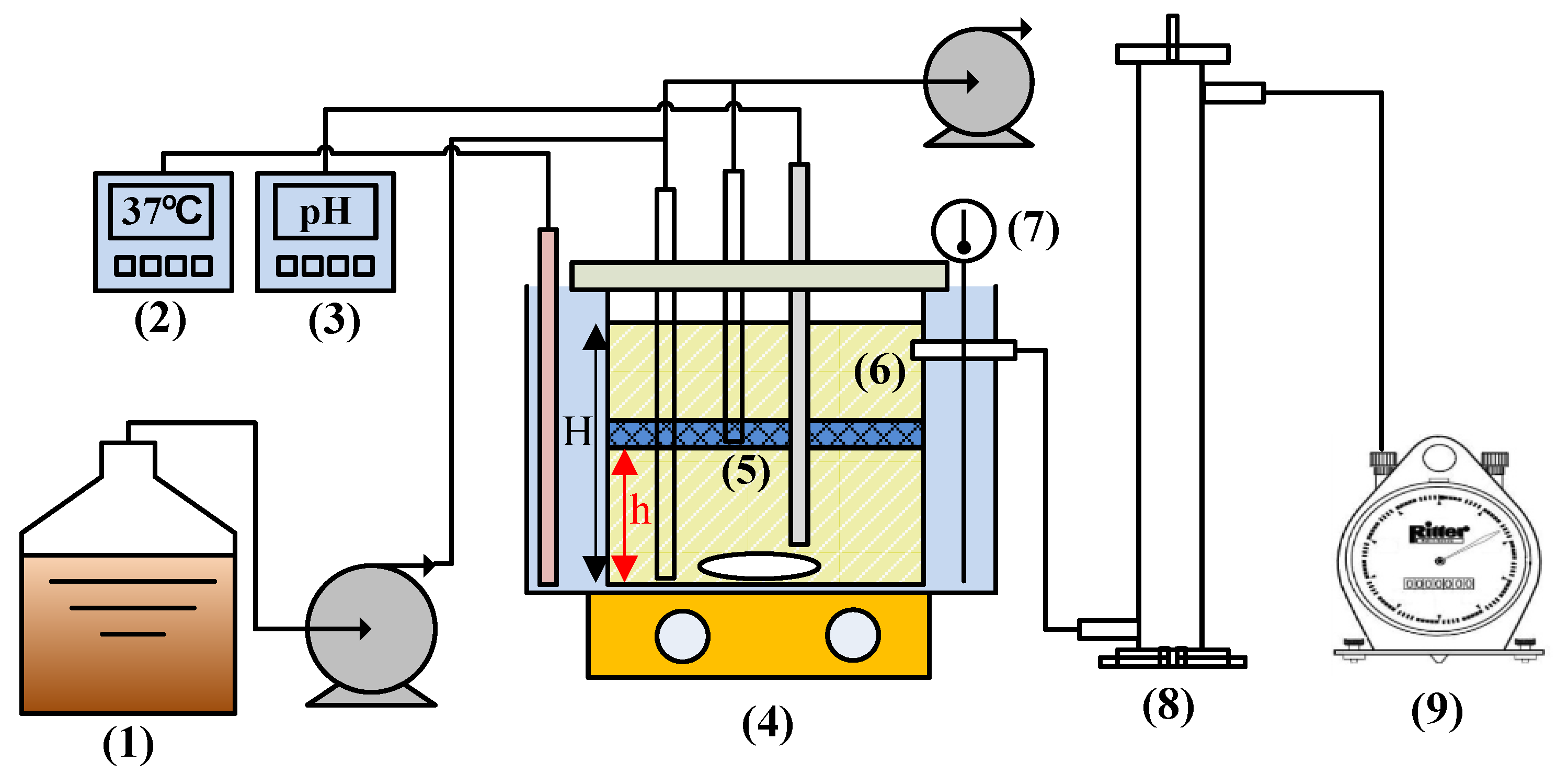 Ijerph 18 07462 g001
