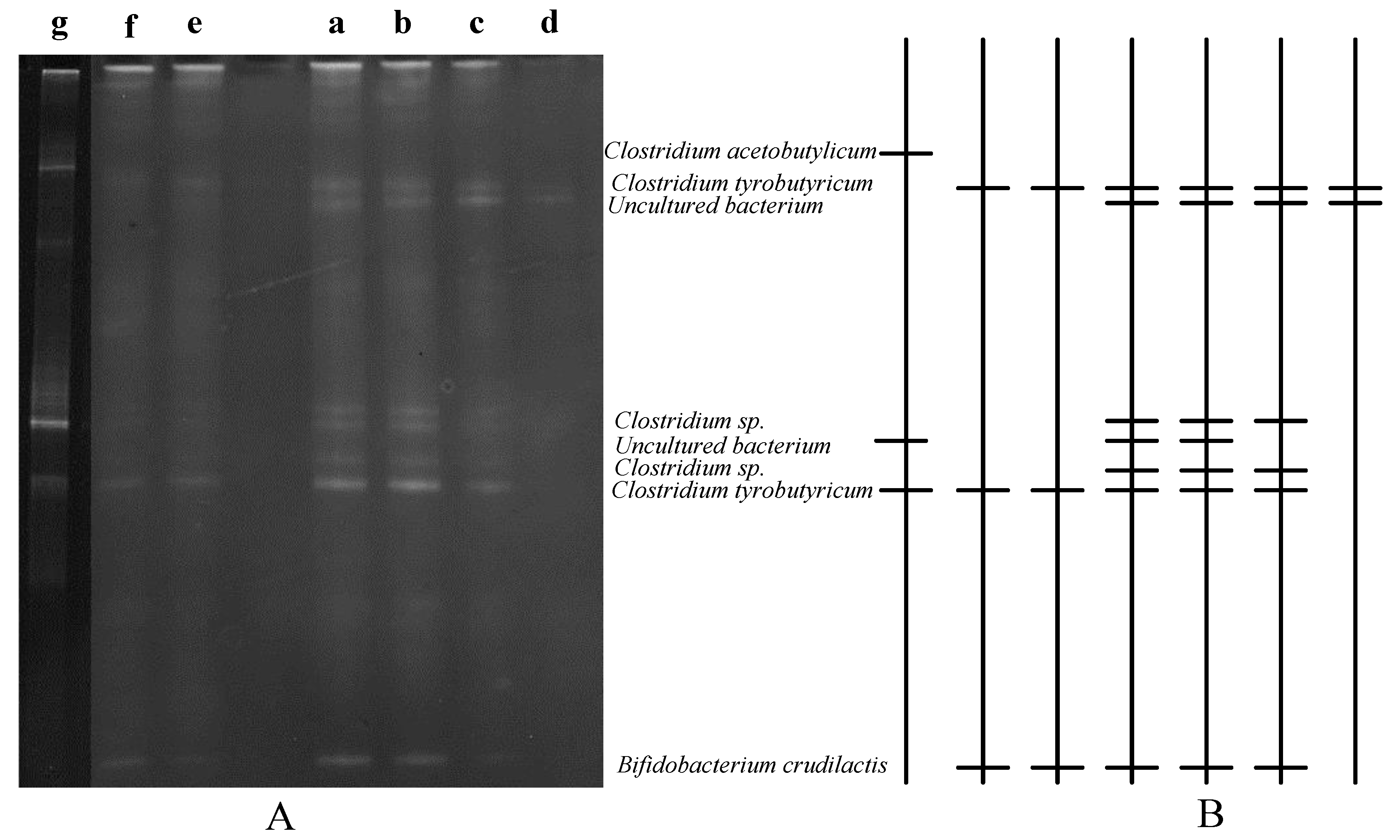 Ijerph 18 07462 g004