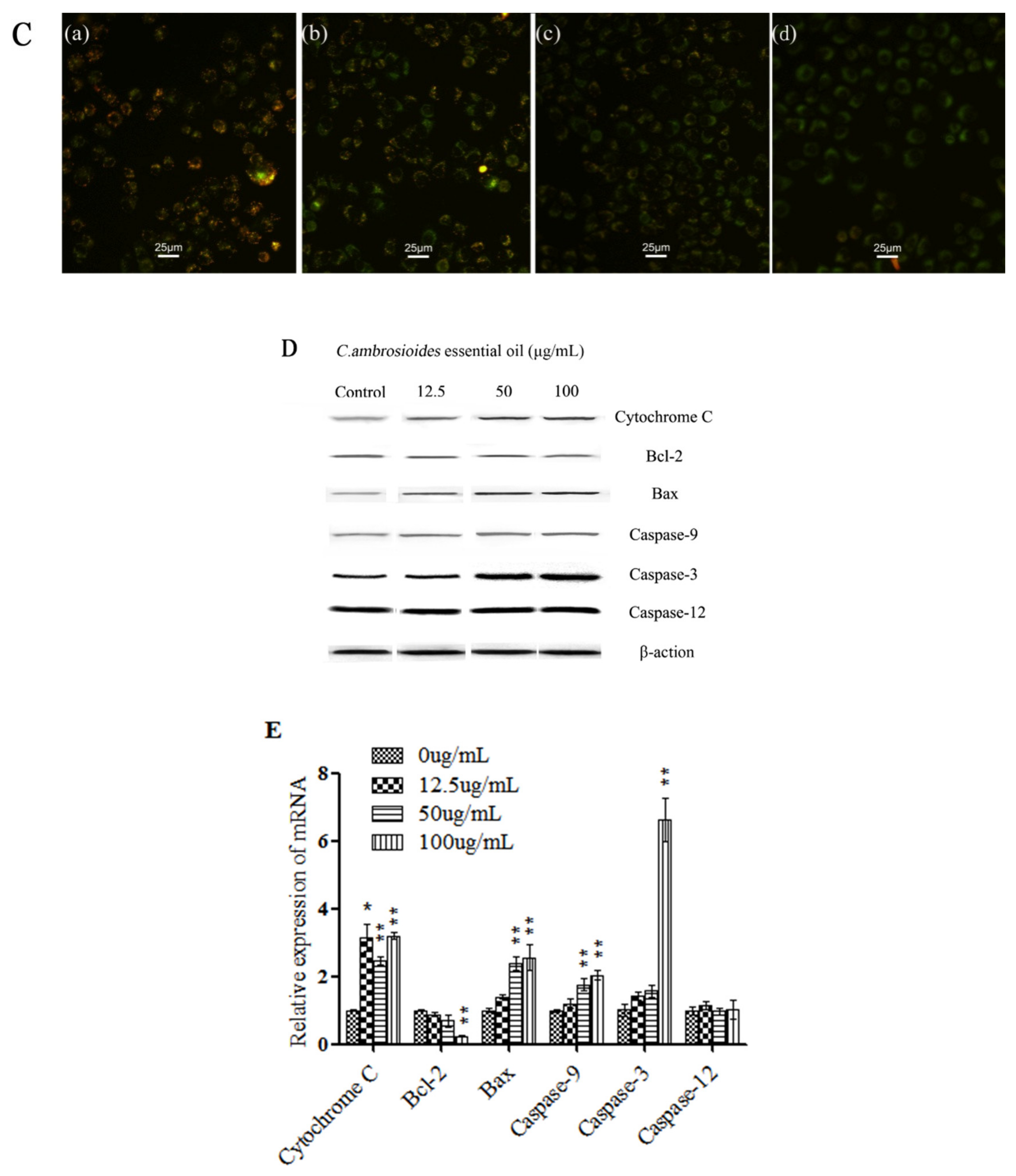 Ijerph 18 07469 g002b