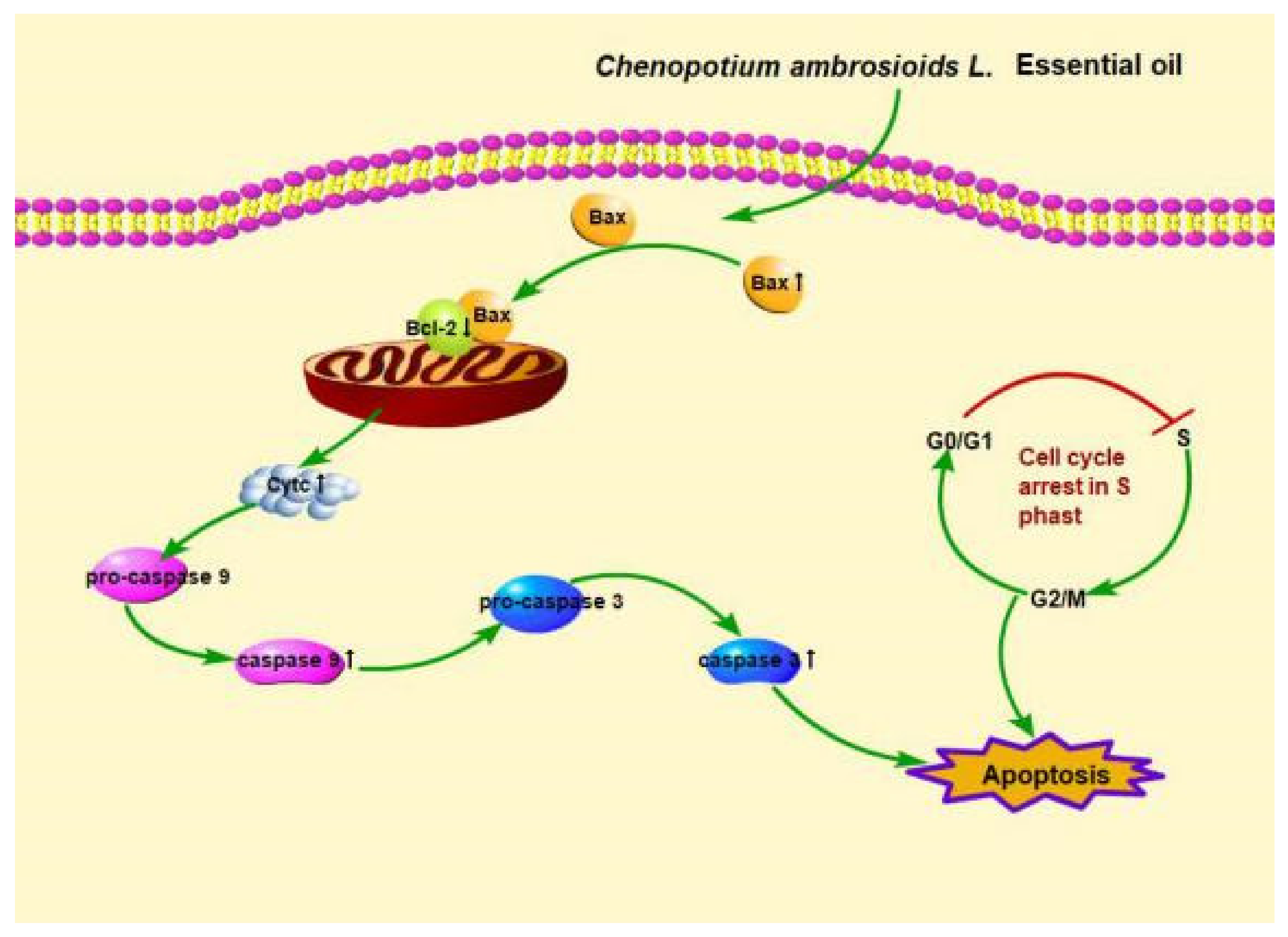 Ijerph 18 07469 g003