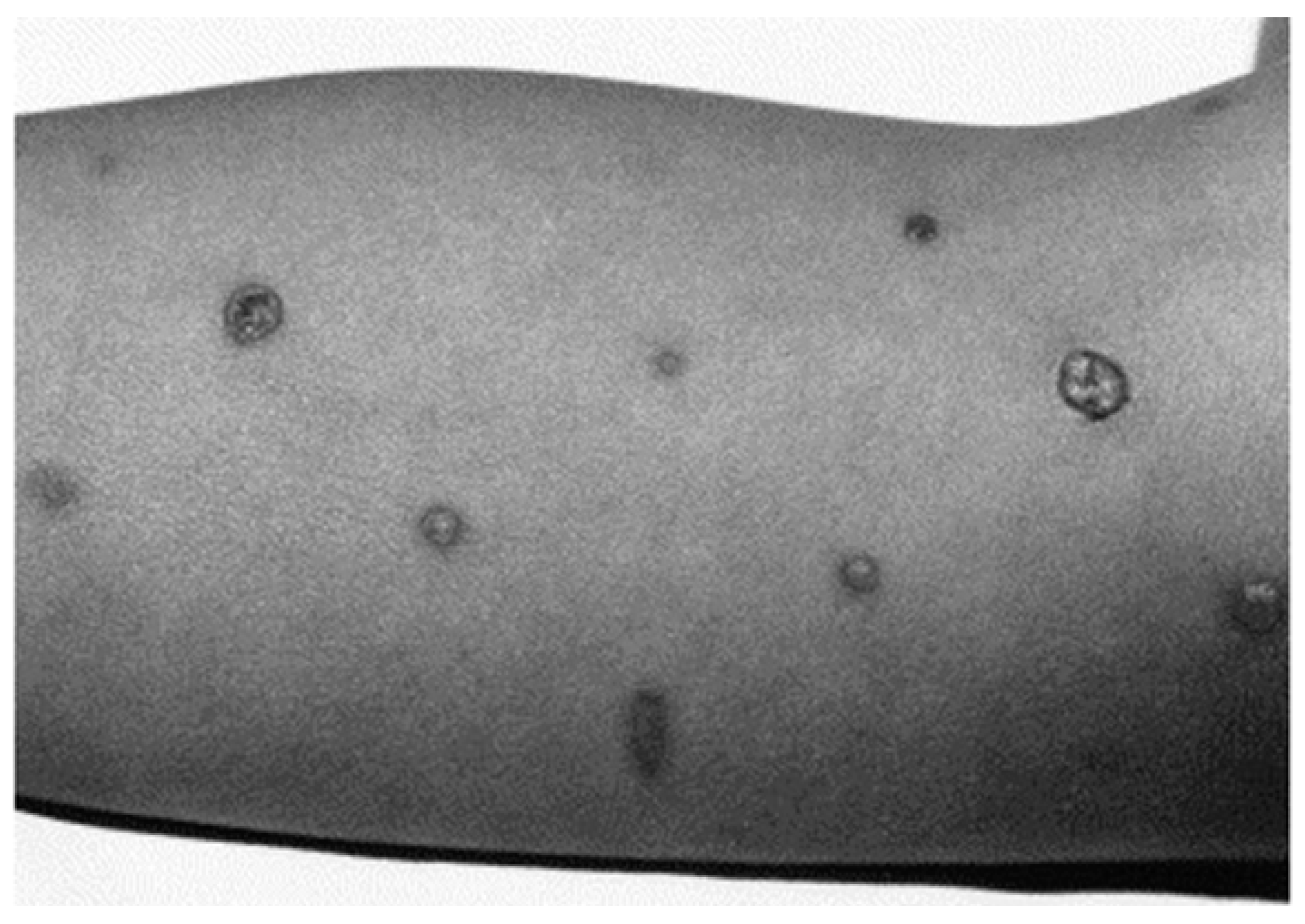 Ijerph 18 07541 g006 Ijerph 18 07541 g006