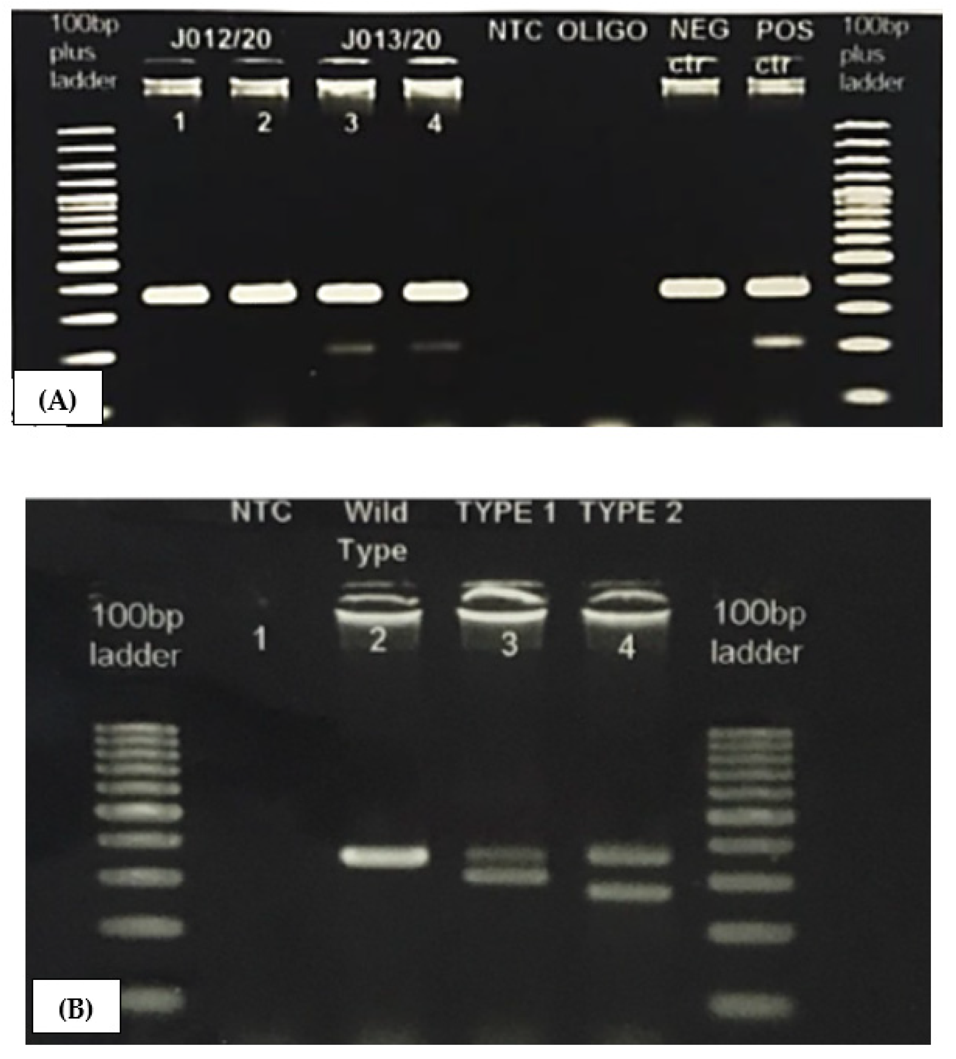 Ijerph 18 07582 g002 Ijerph 18 07582 g002