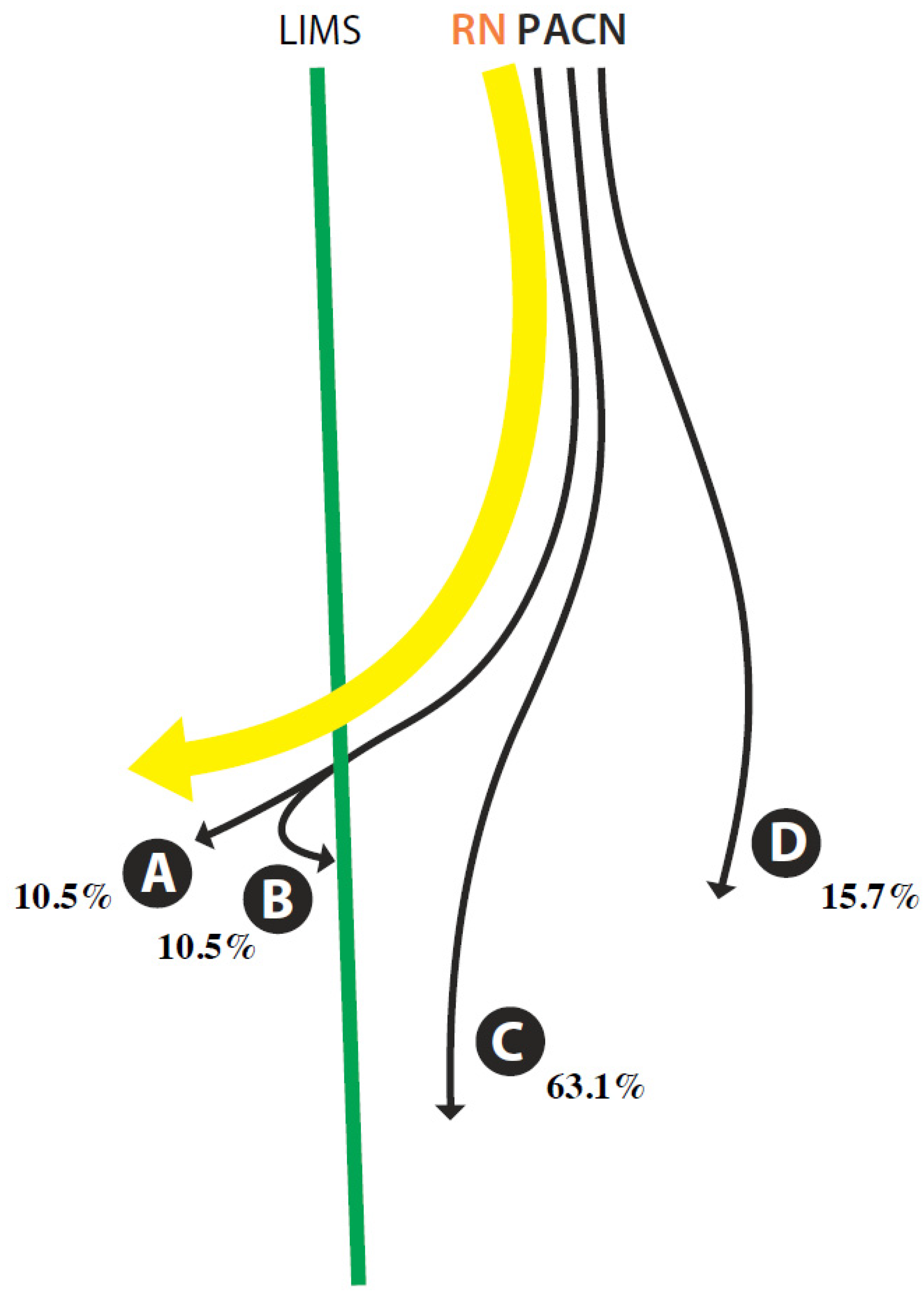 The Course Of Posterior Antebrachial Cutaneous Nerve - vrogue.co