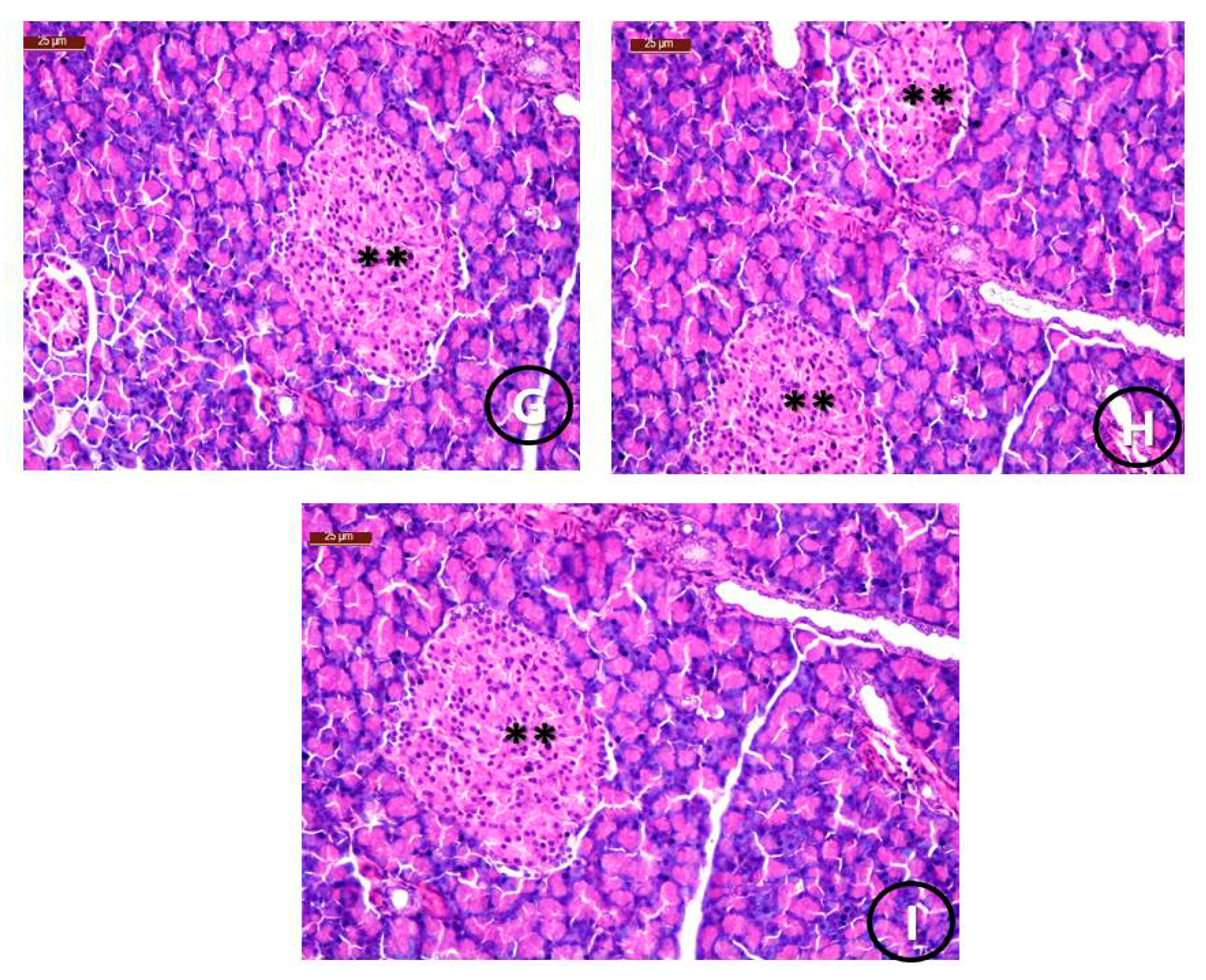Ijerph 18 08030 g006b