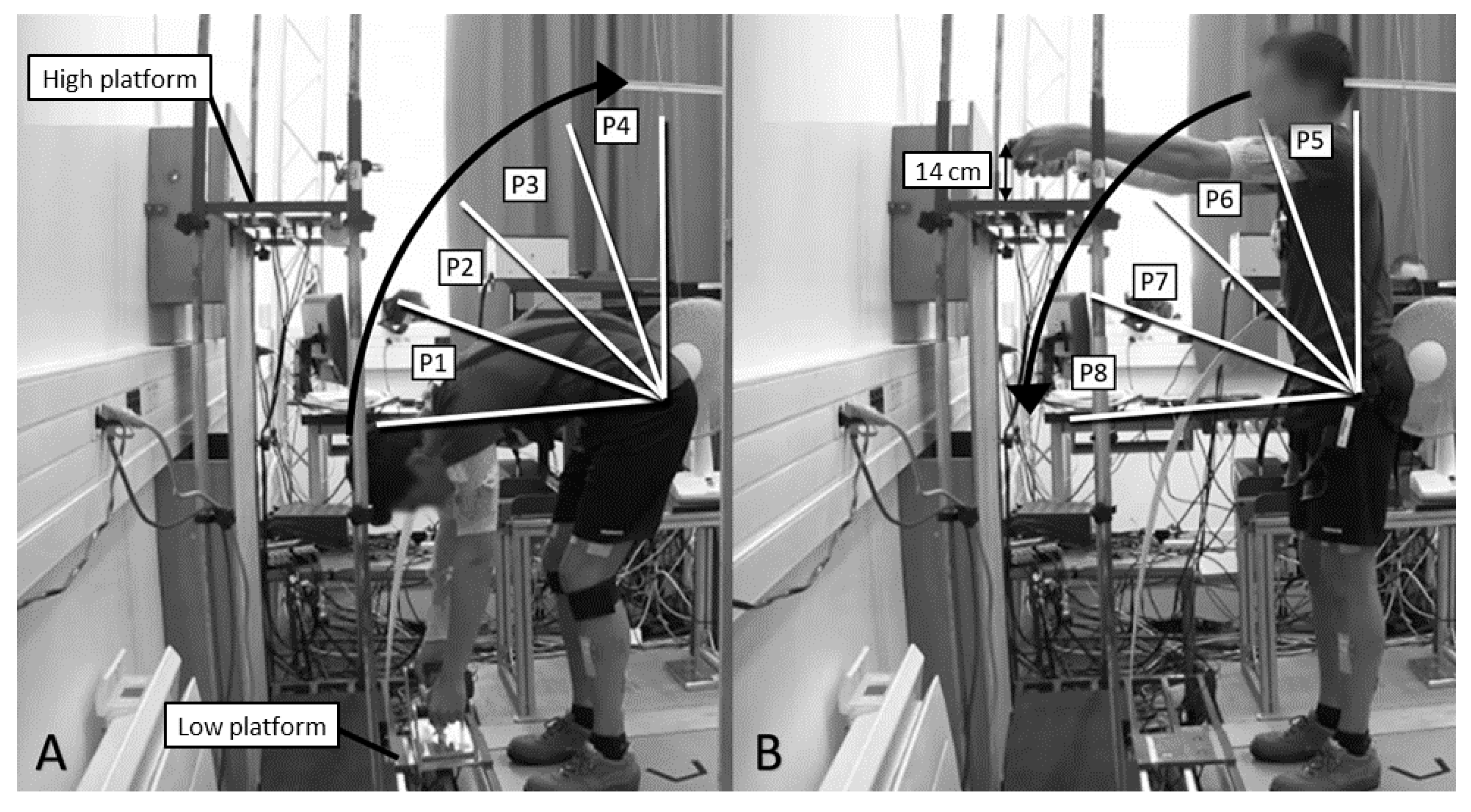 Ijerph 18 08062 g001