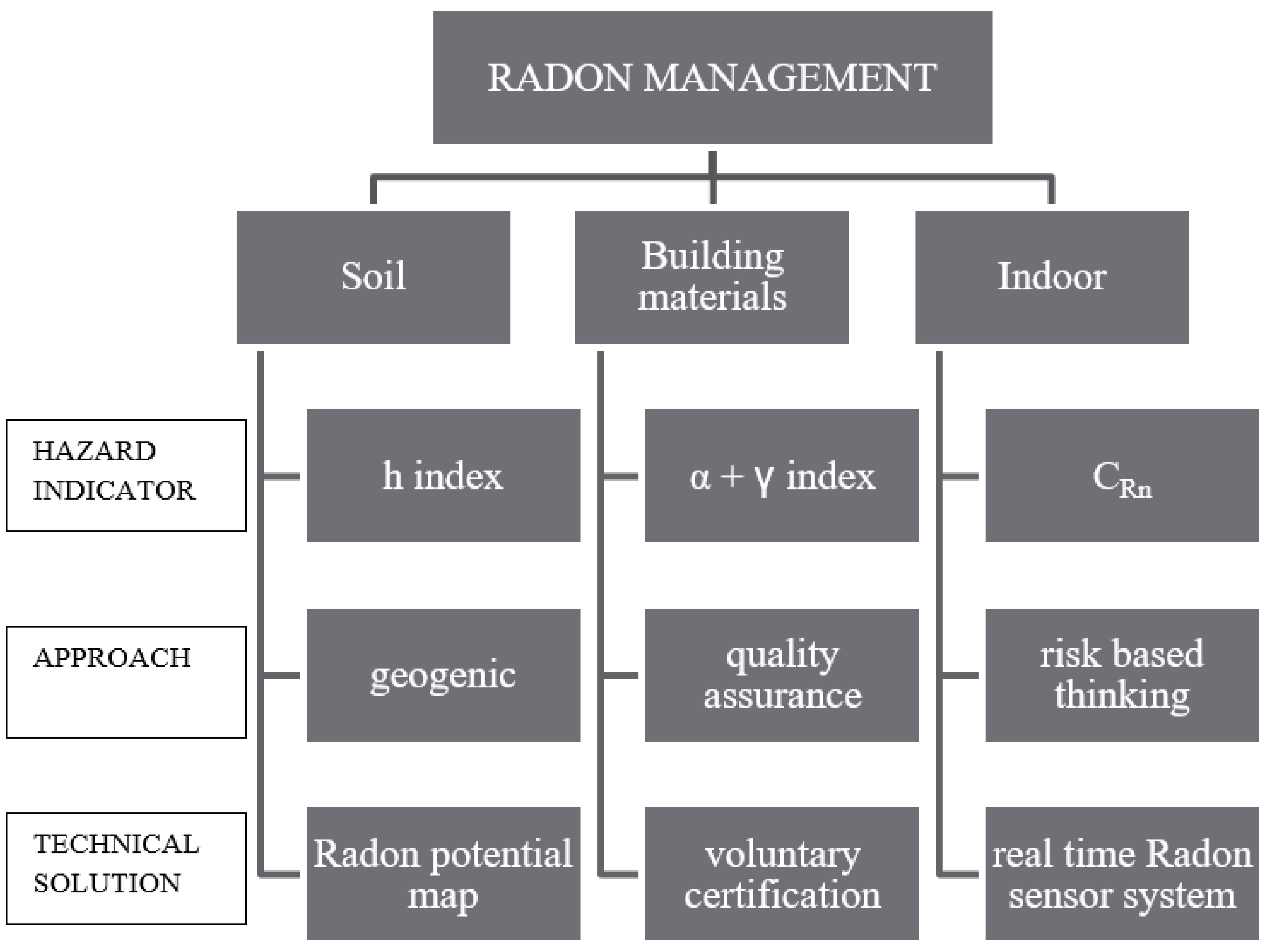 Michele Radon - Certified Professional Life Coach - The Game