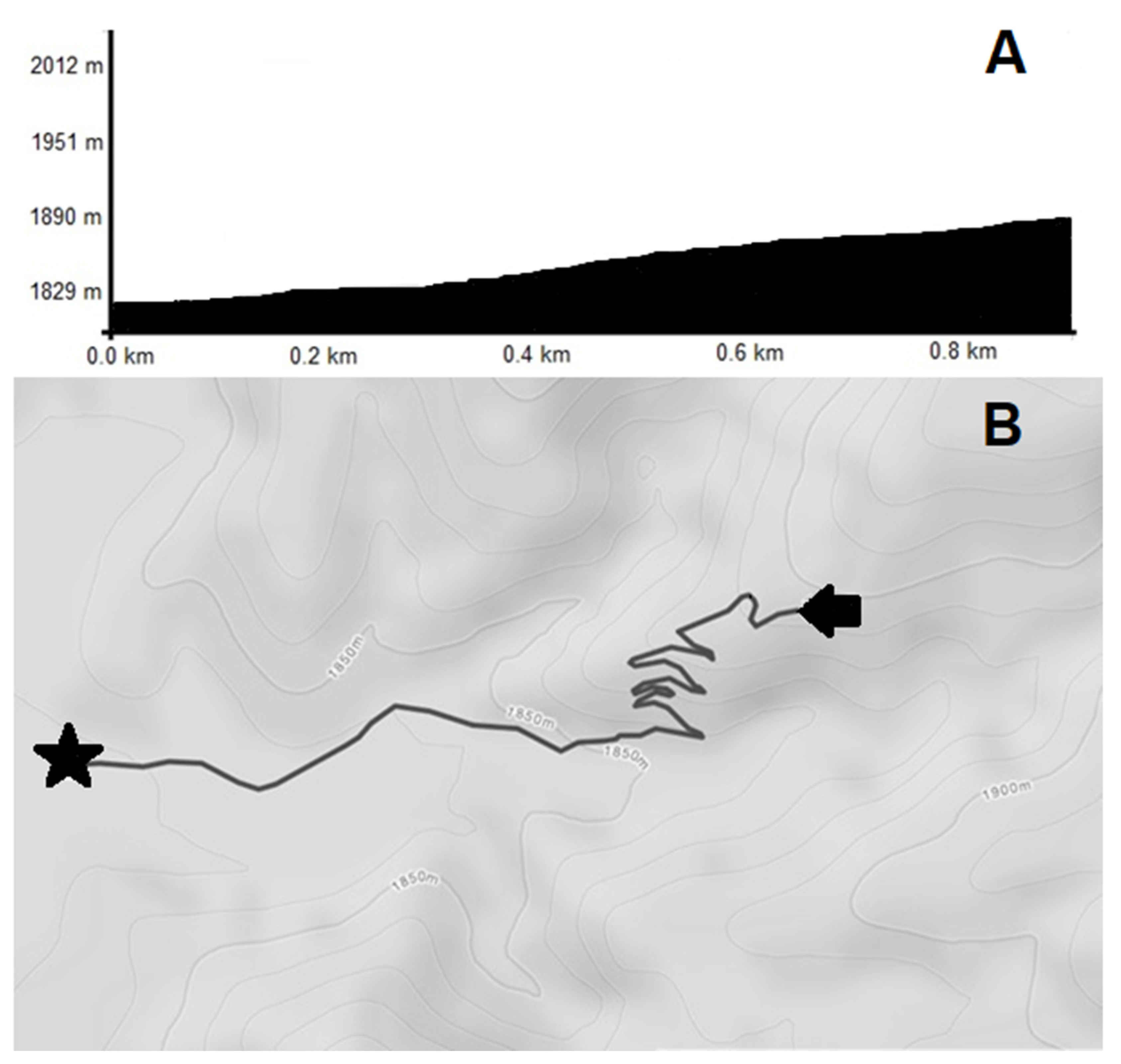 Ijerph 18 08134 g001 Ijerph 18 08134 g001