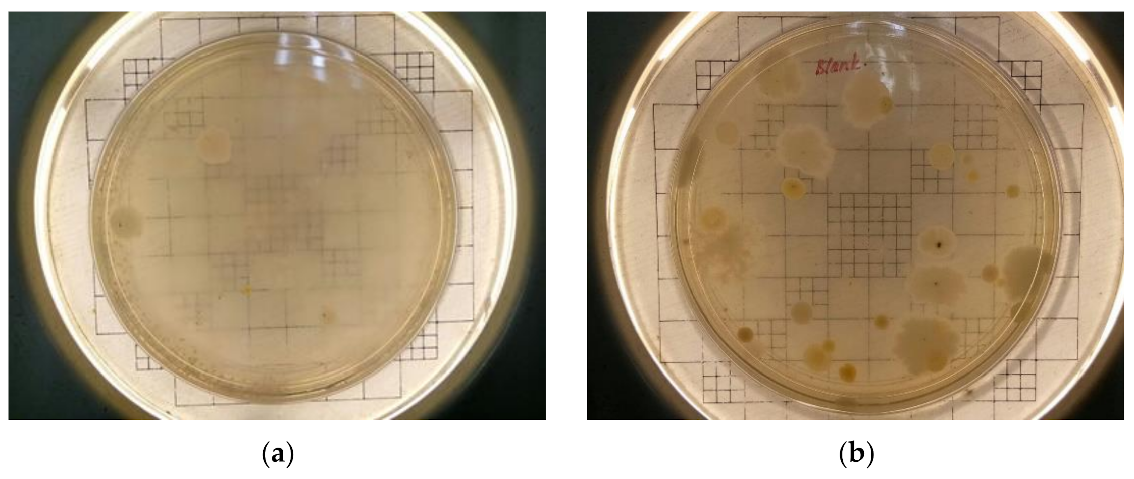 Ijerph 18 08192 g011a