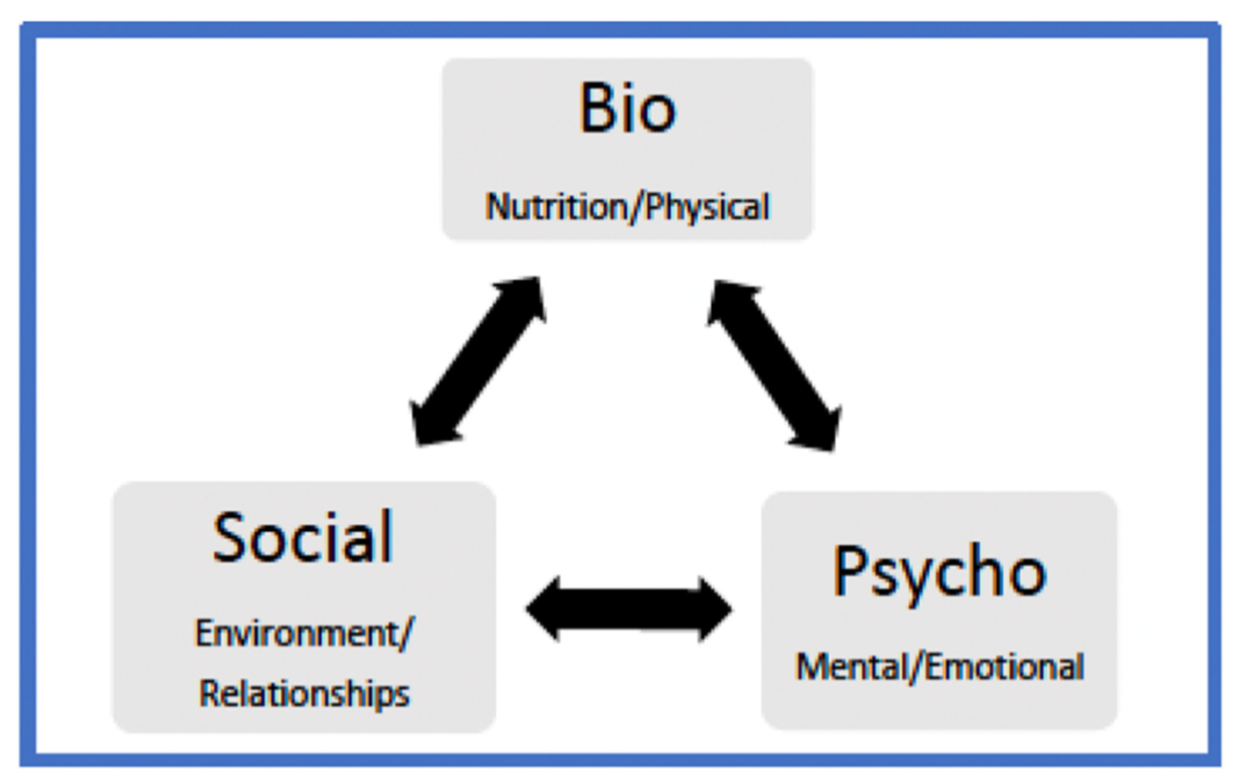 biopsychosocial assessment essay