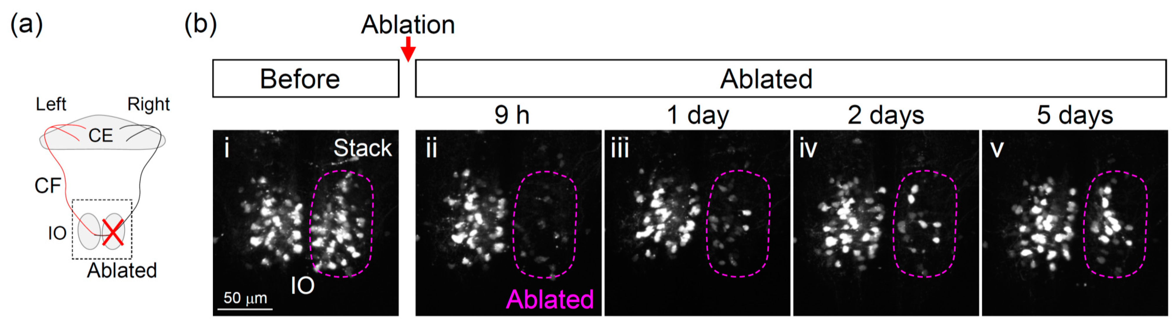 Ijerph 18 08357 g003 Ijerph 18 08357 g003