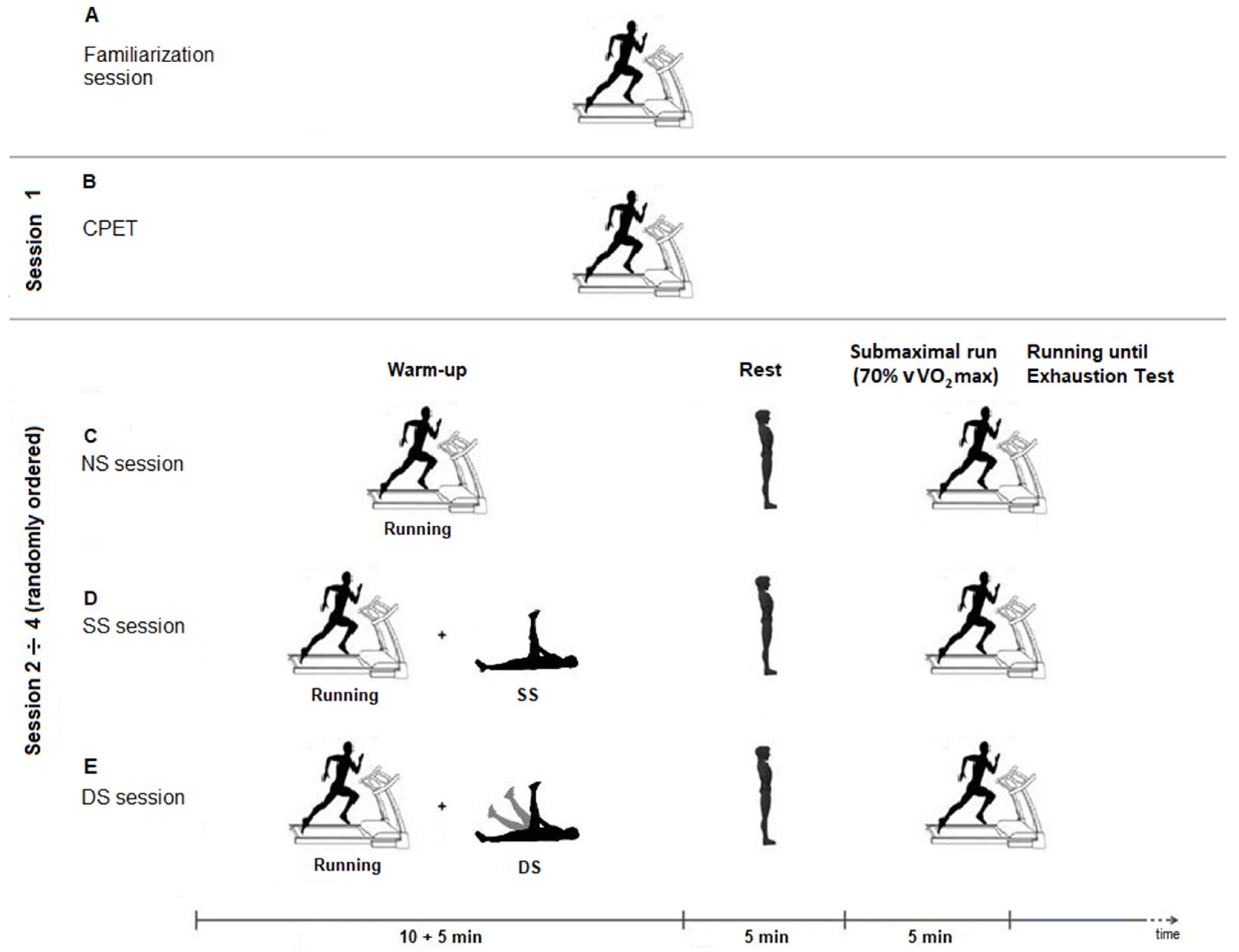 IJERPH | Free Full-Text | The Effect of Static and Dynamic Stretching  during Warm-Up on Running Economy and Perception of Effort in Recreational  Endurance Runners