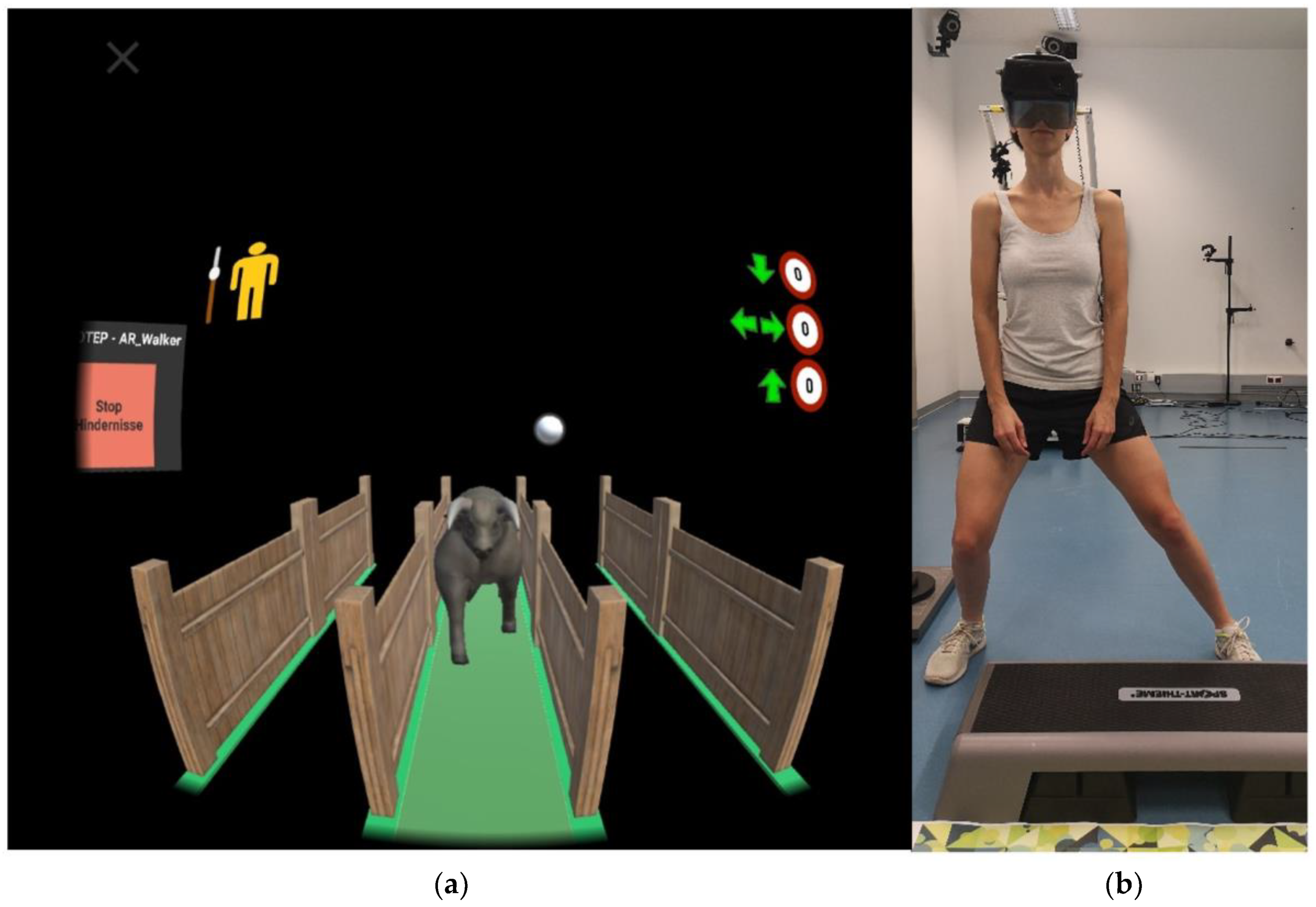 Validation of  Halo Movement: a smartphone camera-based