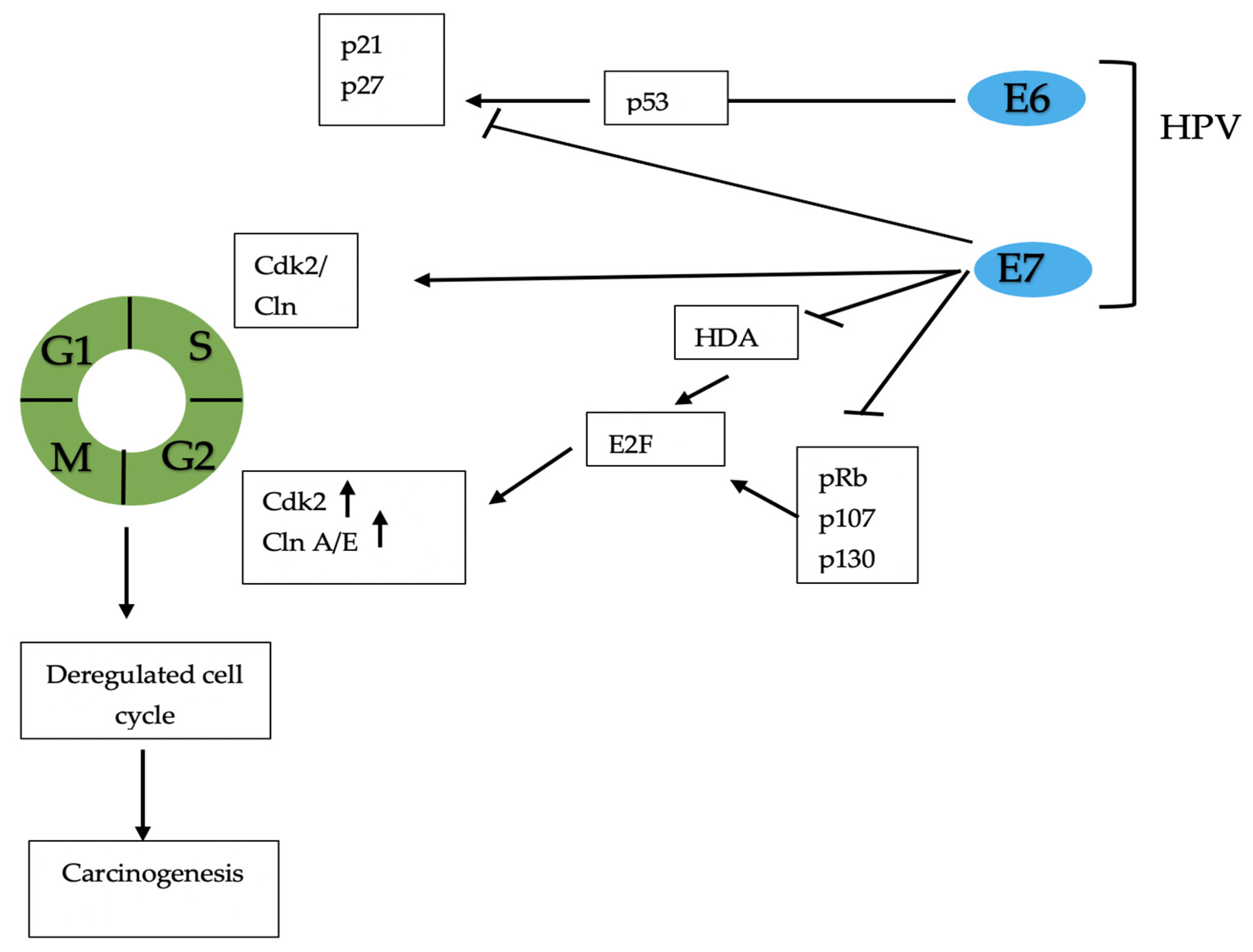 Ijerph 18 08500 g004 Ijerph 18 08500 g004