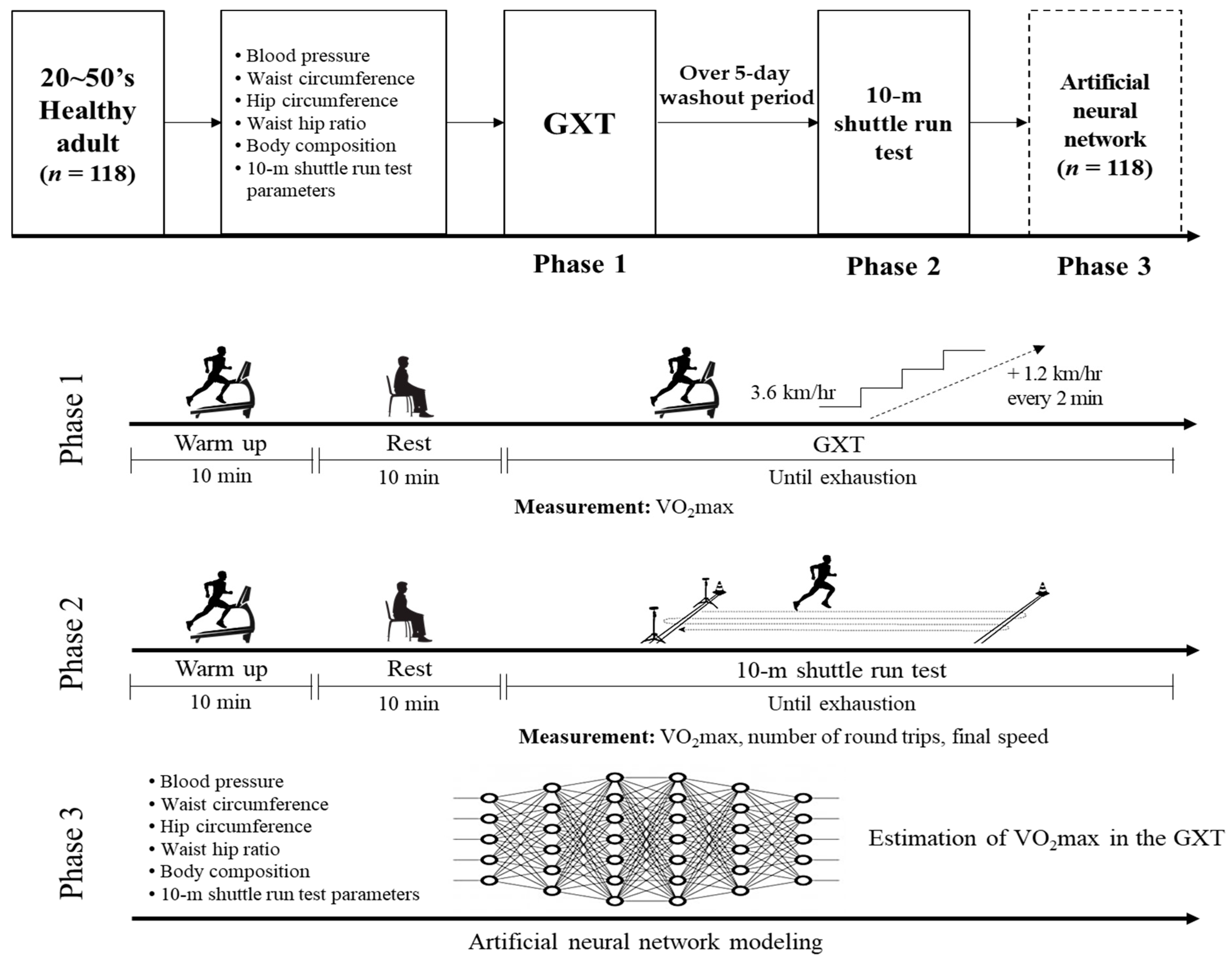 IJERPH | Free Full-Text | Estimated Artificial Neural Network Modeling of  Maximal Oxygen Uptake Based on Multistage 10-m Shuttle Run Test in Healthy  Adults