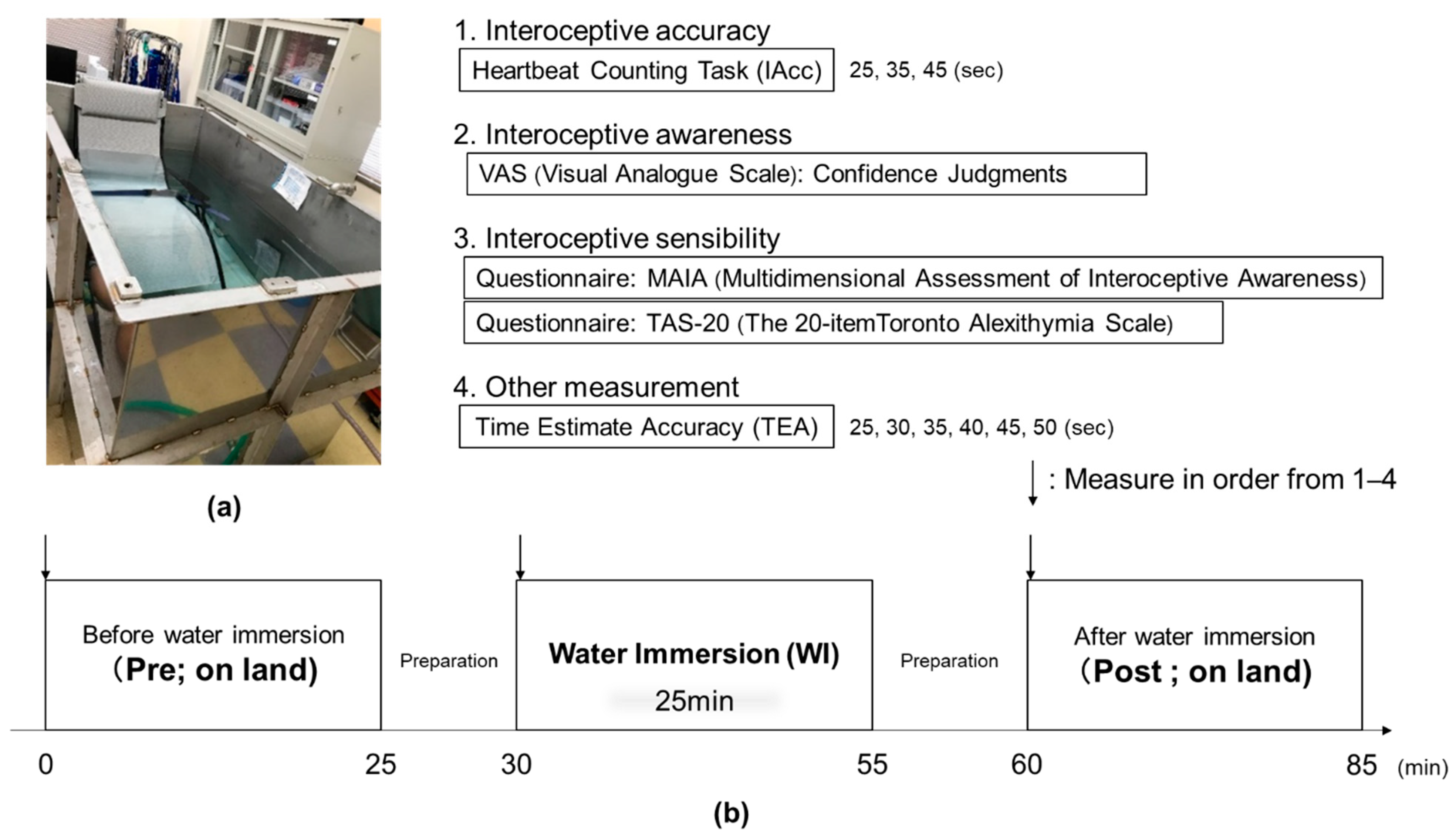 Ijerph Free Full Text Does Long Term Training In A Water Immersion Environment Change Interoception Html