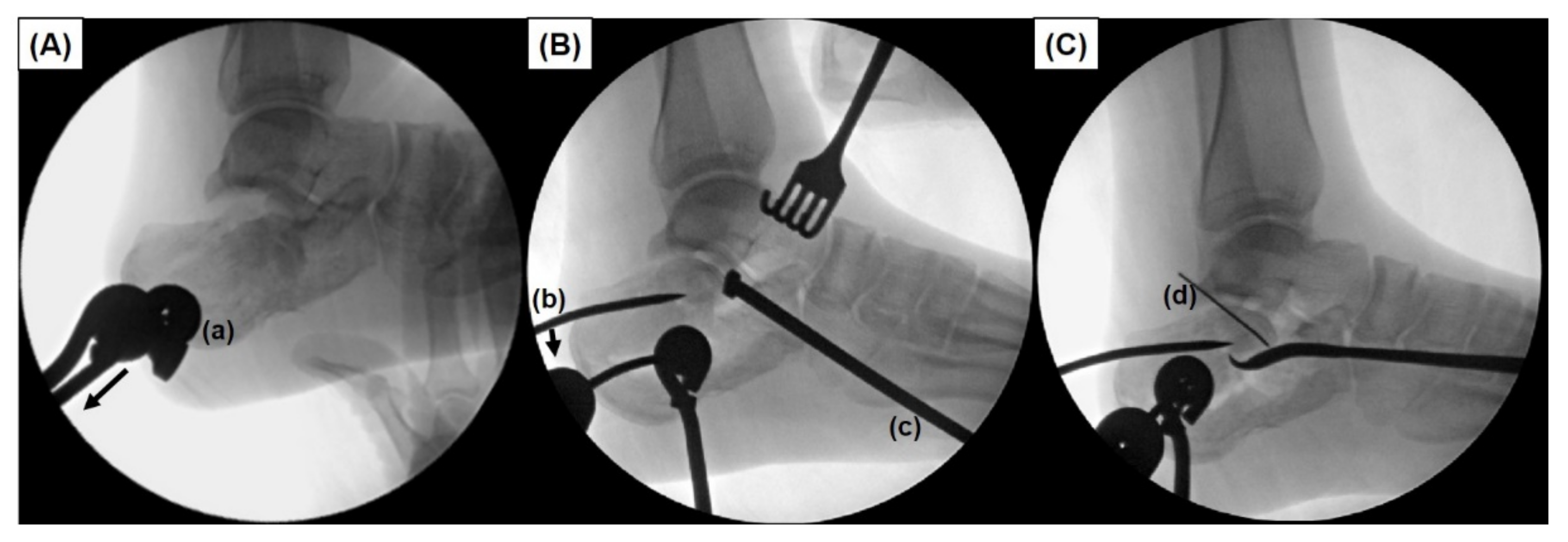 Ijerph 18 10400 g003