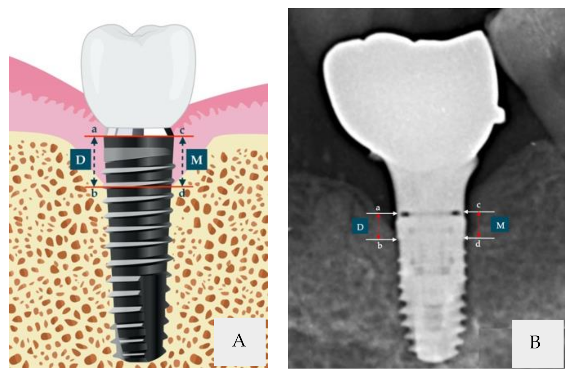 Ijerph 18 10715 g001