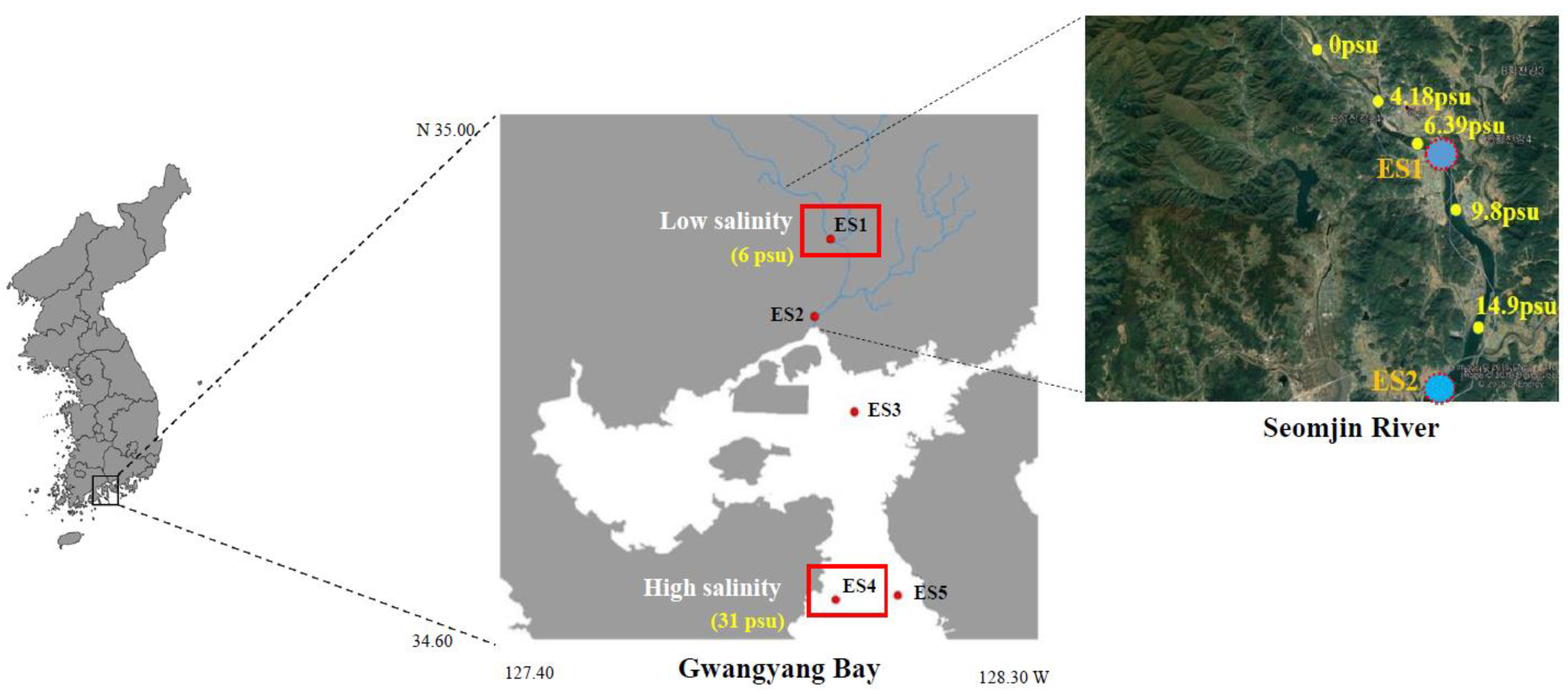 Ijerph 18 10960 g001