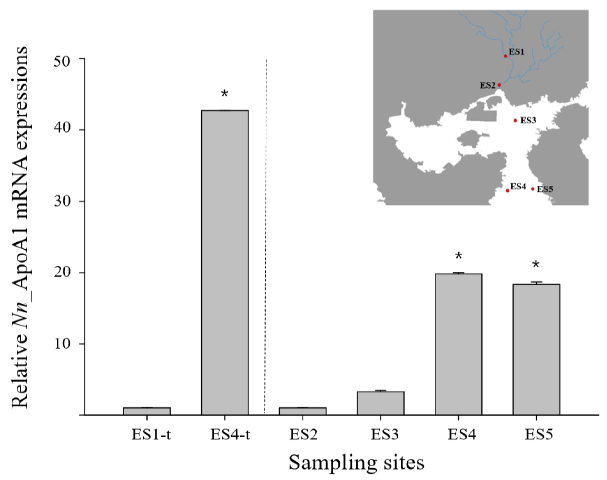 Ijerph 18 10960 g004