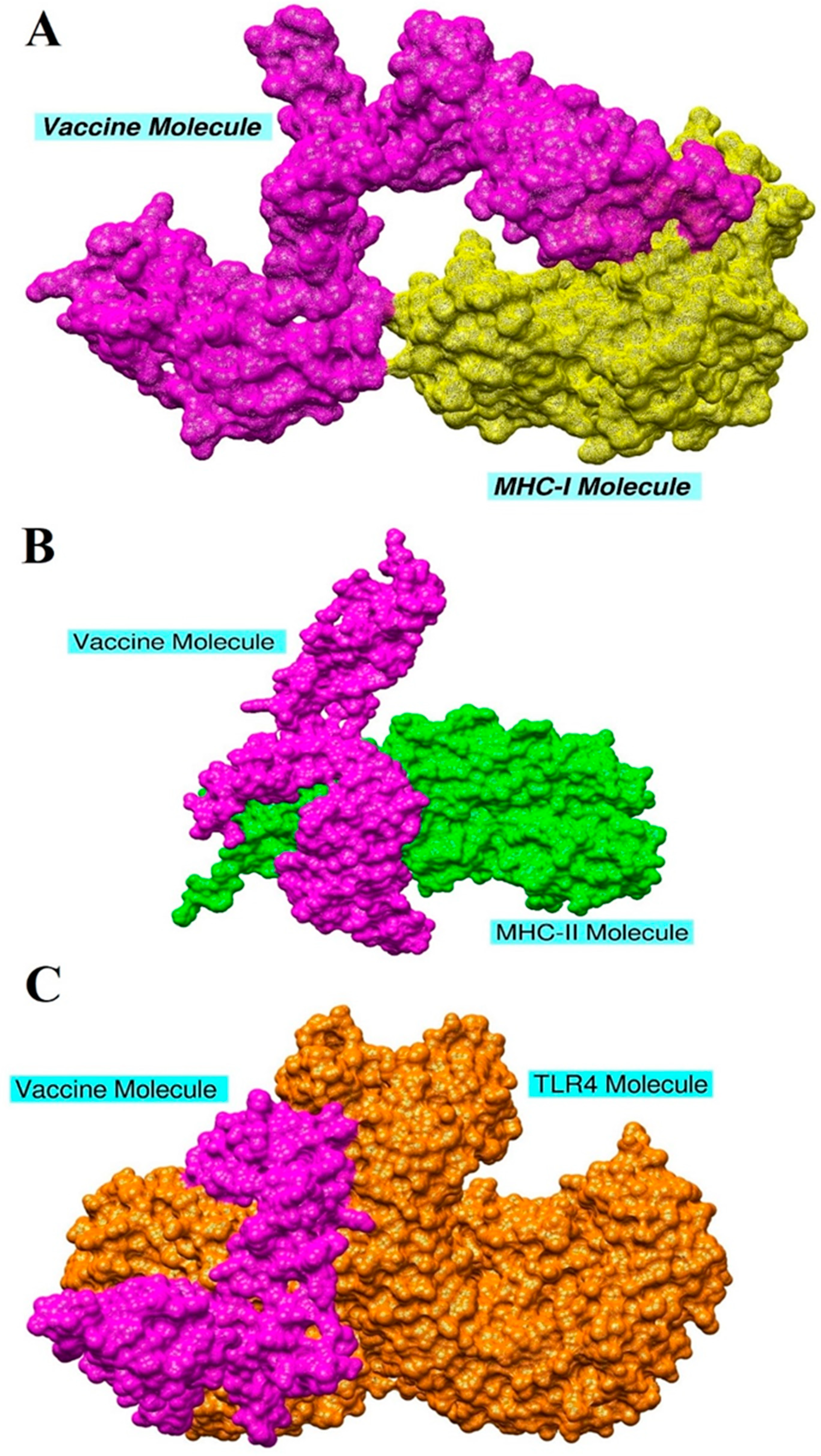 Ijerph 18 10961 g008 Ijerph 18 10961 g008