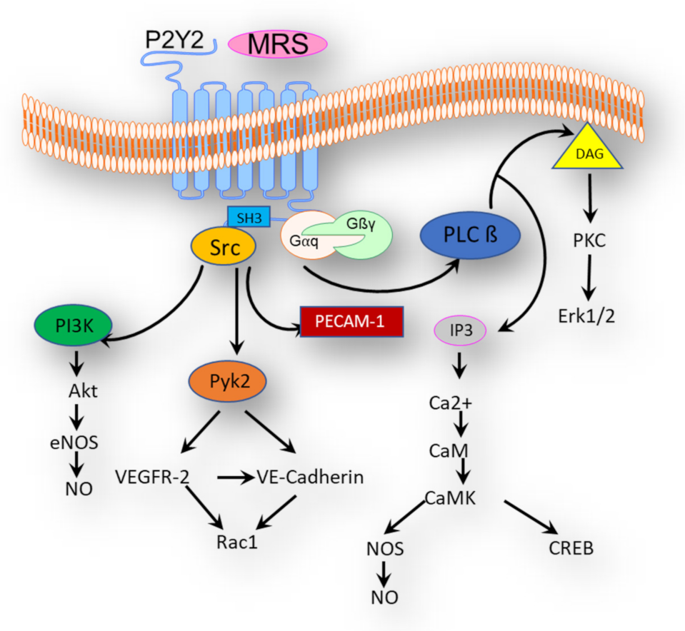 Ijerph 18 11009 g002 Ijerph 18 11009 g002