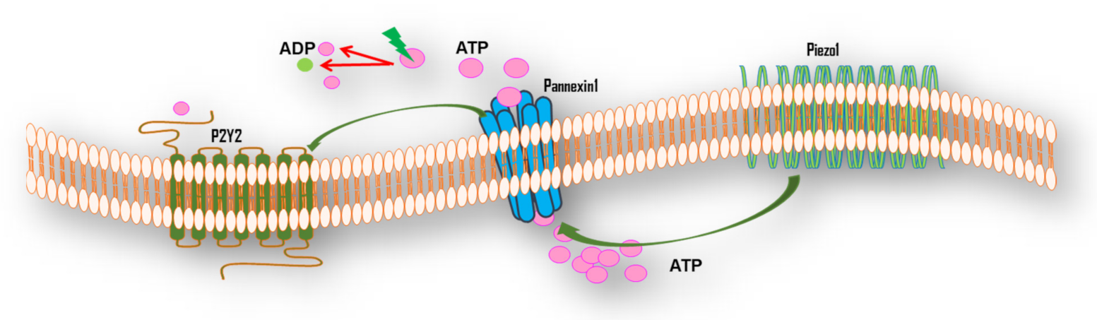 Ijerph 18 11009 g003 Ijerph 18 11009 g003