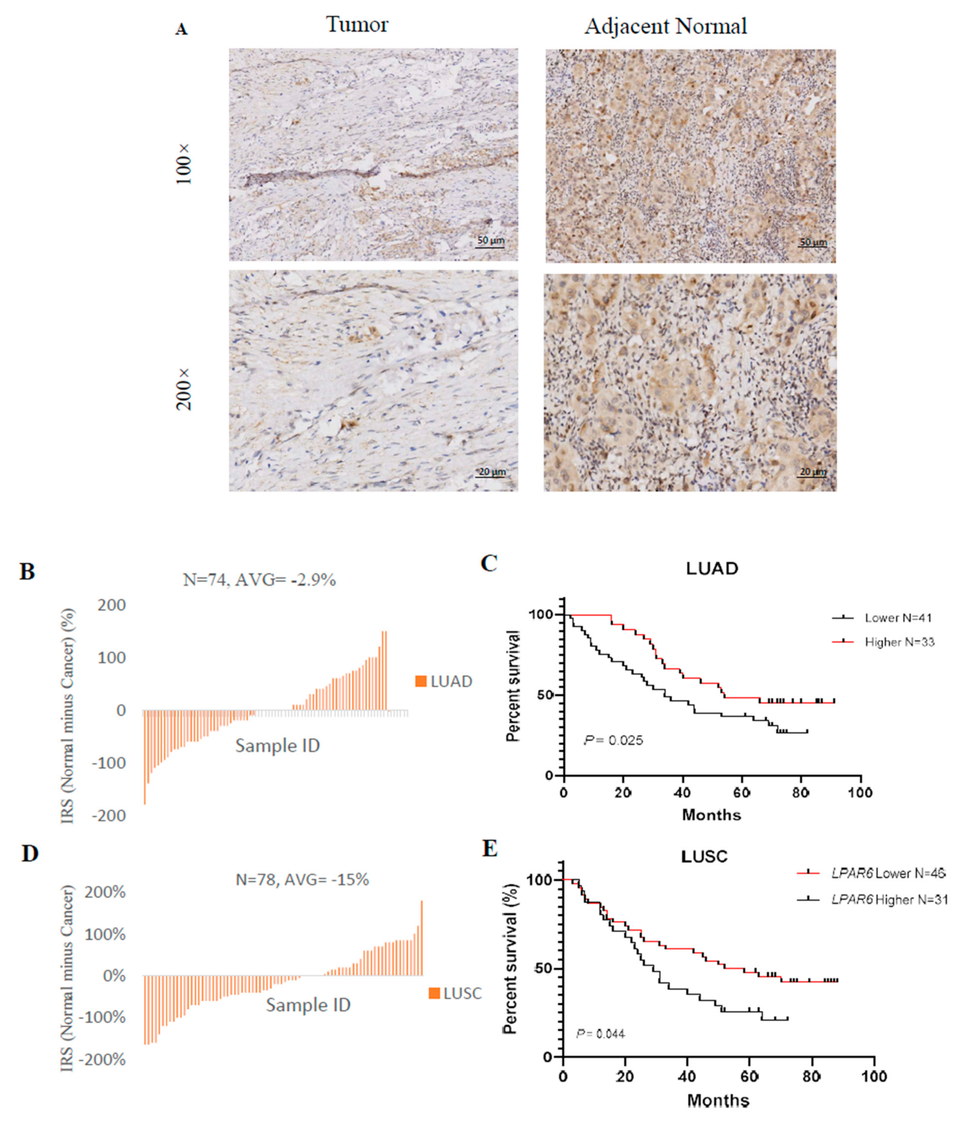 Ijerph 18 11038 g009a