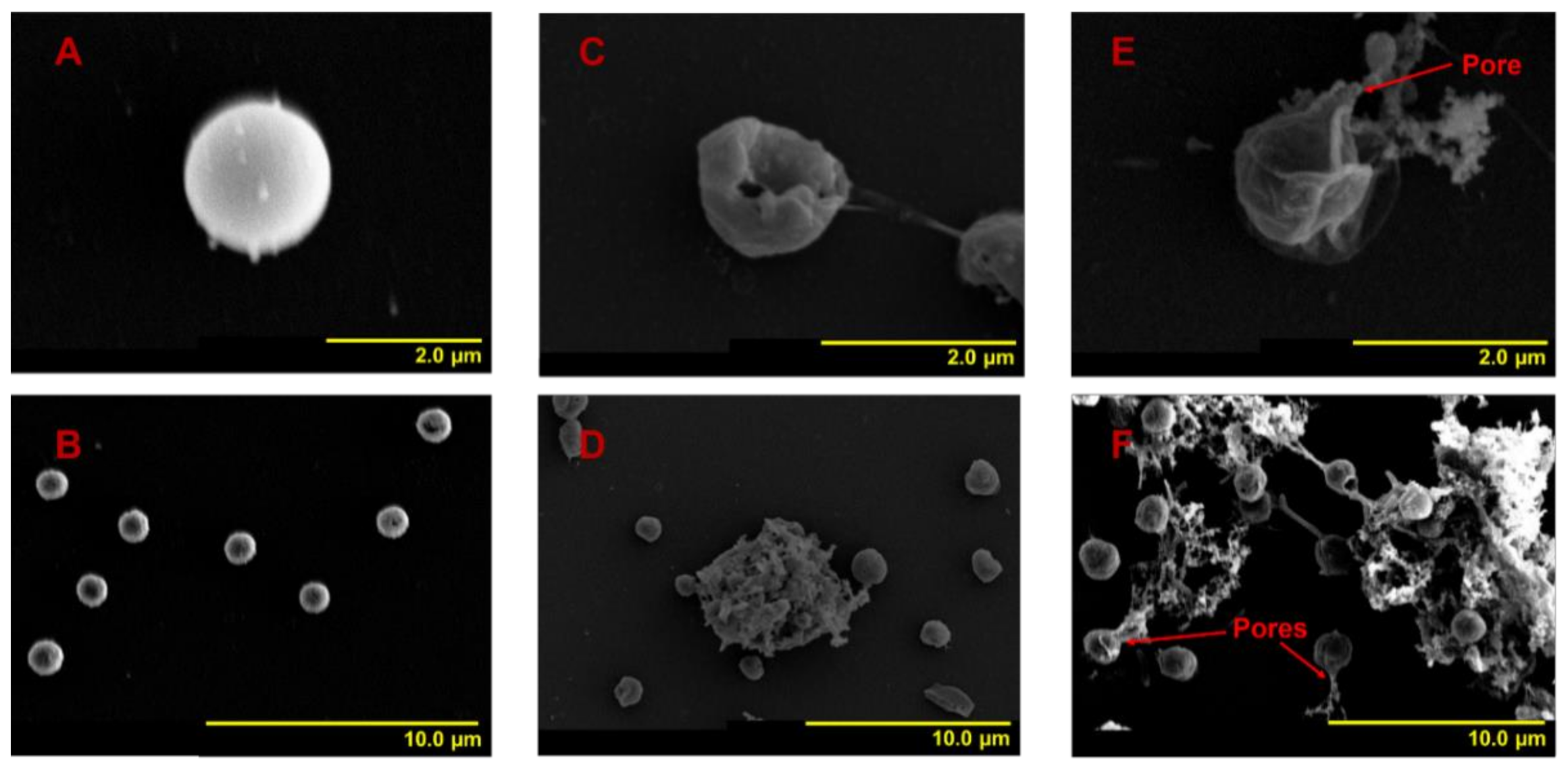 Ijerph 18 11191 g002