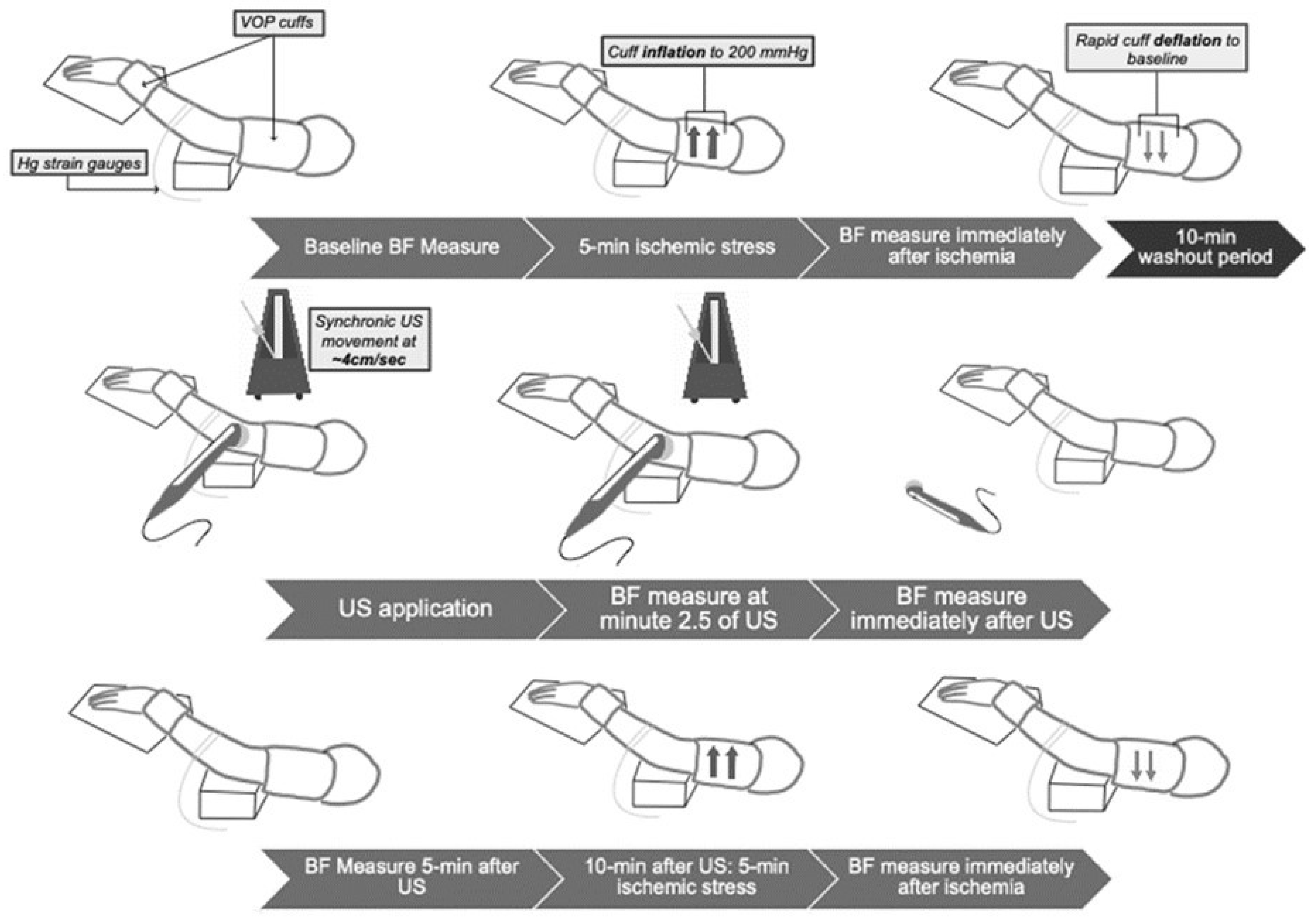 Ijerph 18 11444 g001