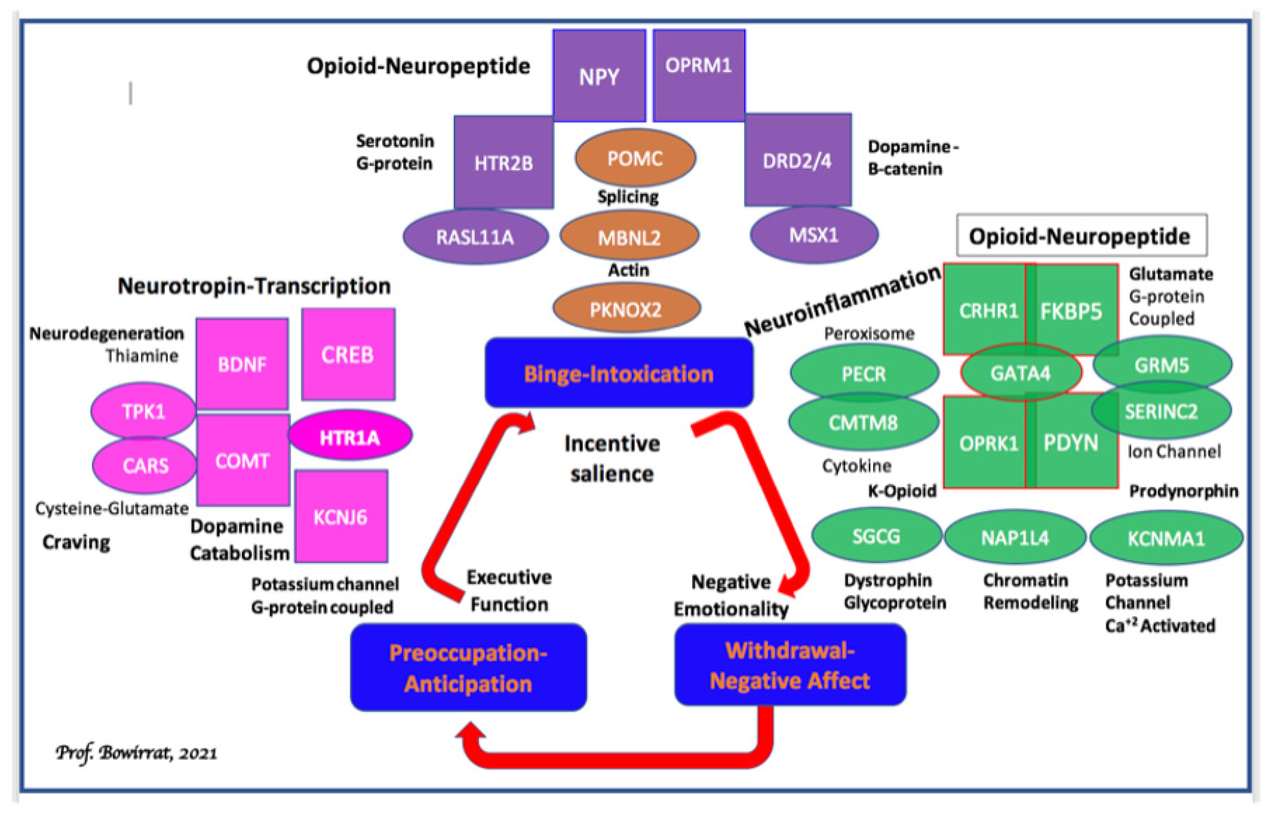 Ijerph Free Full Text Reward Deficiency Syndrome Rds A Cytoarchitectural Common Neurobiological Trait Of All Addictions Html