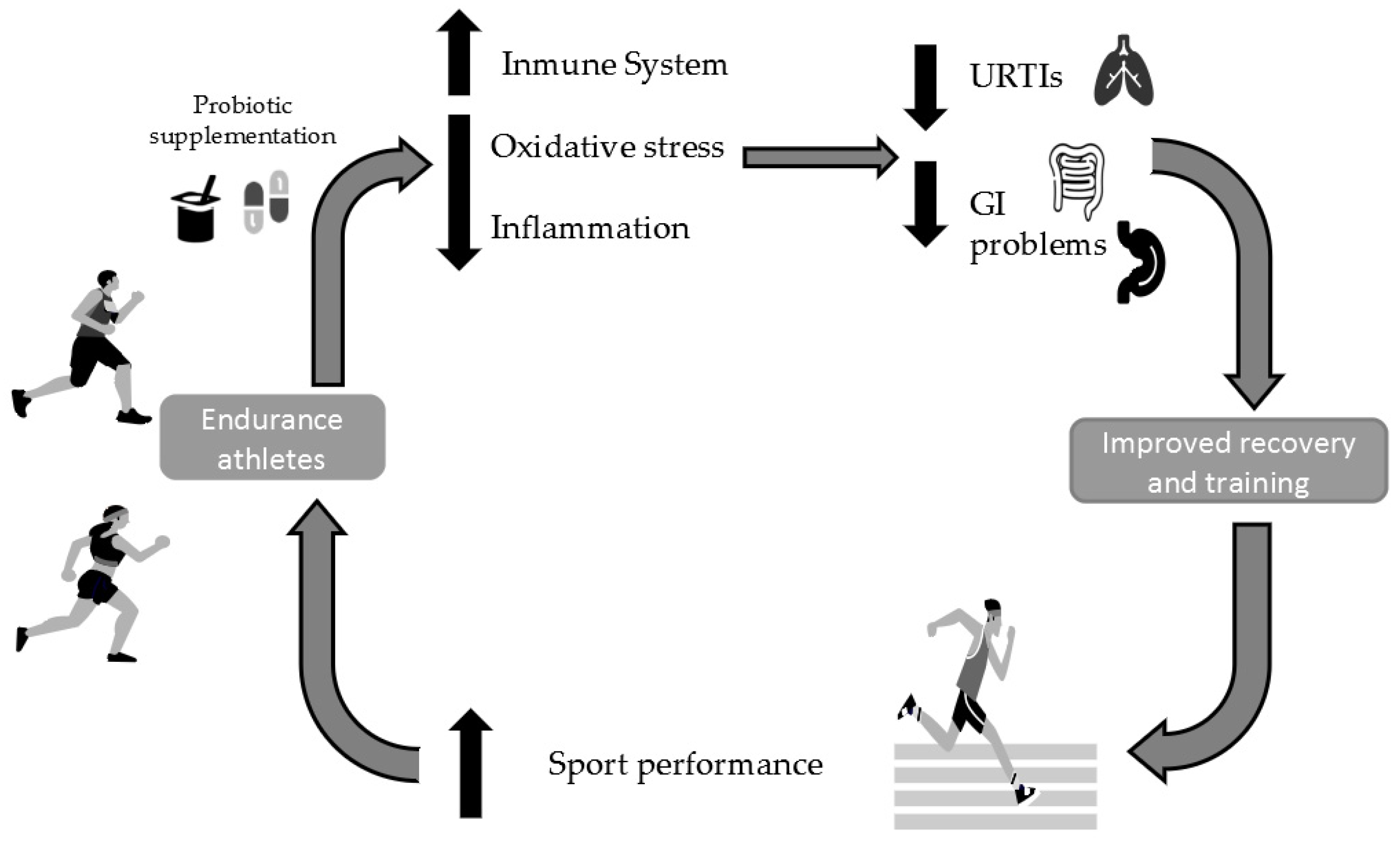 IJERPH | Free Full-Text | Impact Of Probiotics On The Performance Of ...