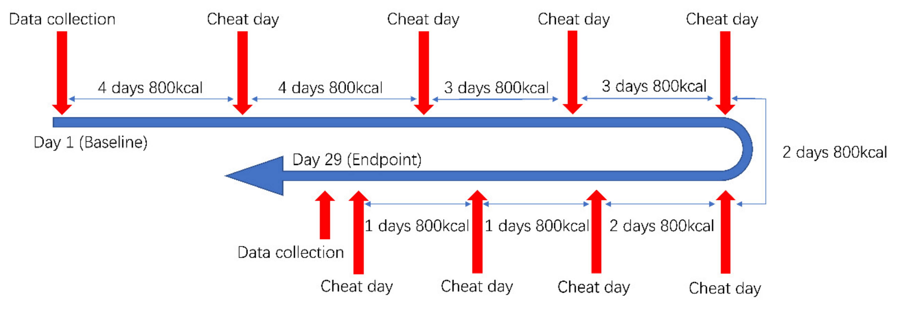 IJERPH Free Full-Text The Comparison of the Effects between Continuous and Intermittent Energy Restriction in Short-Term Bodyweight Loss for Sedentary Population A Randomized, Double-Blind, Controlled Trial picture