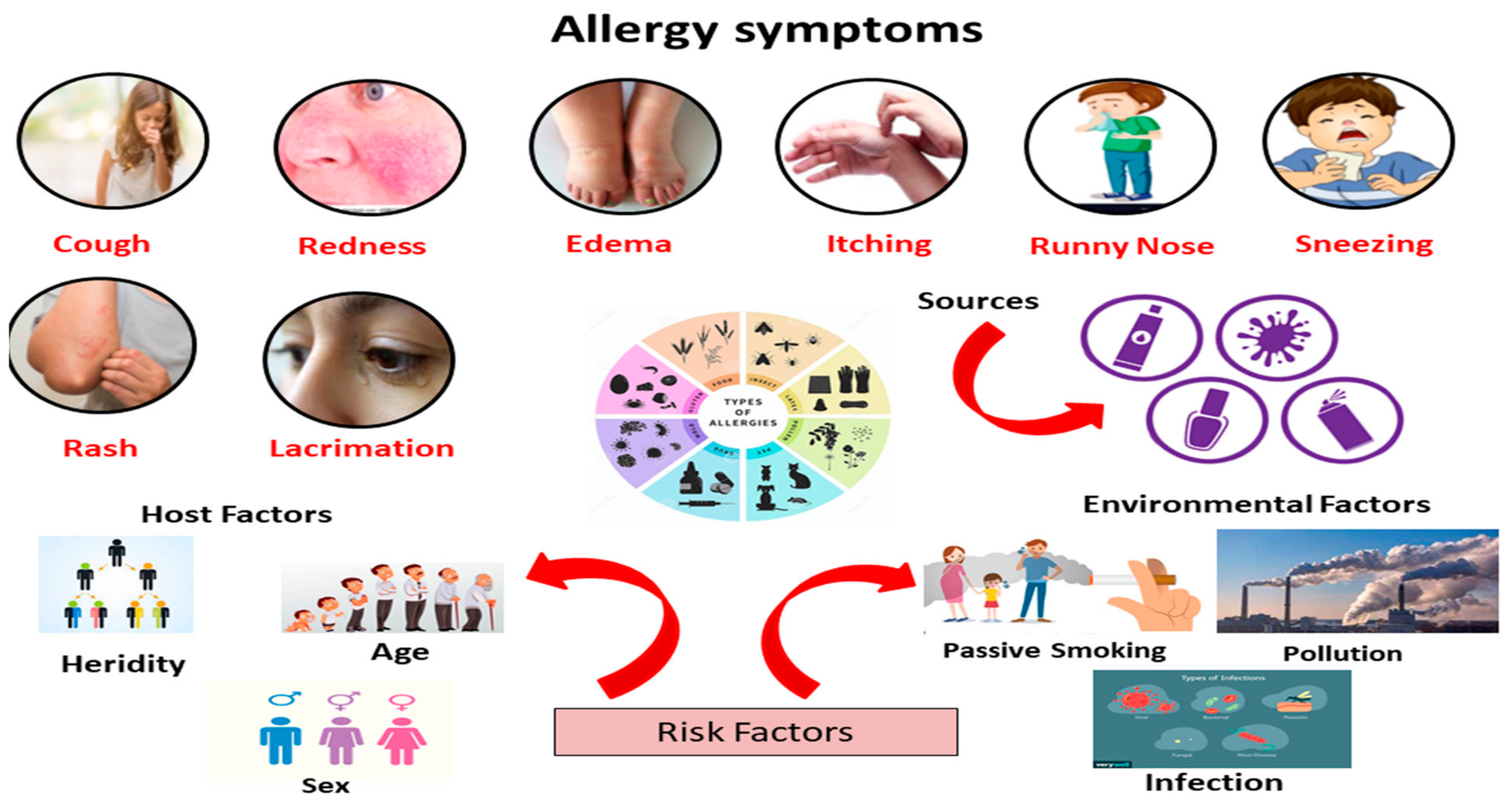 IJERPH | Free Full-Text | Allergic Diseases: A Comprehensive Review on Risk  Factors, Immunological Mechanisms, Link with COVID-19, Potential  Treatments, and Role of Allergen Bioinformatics